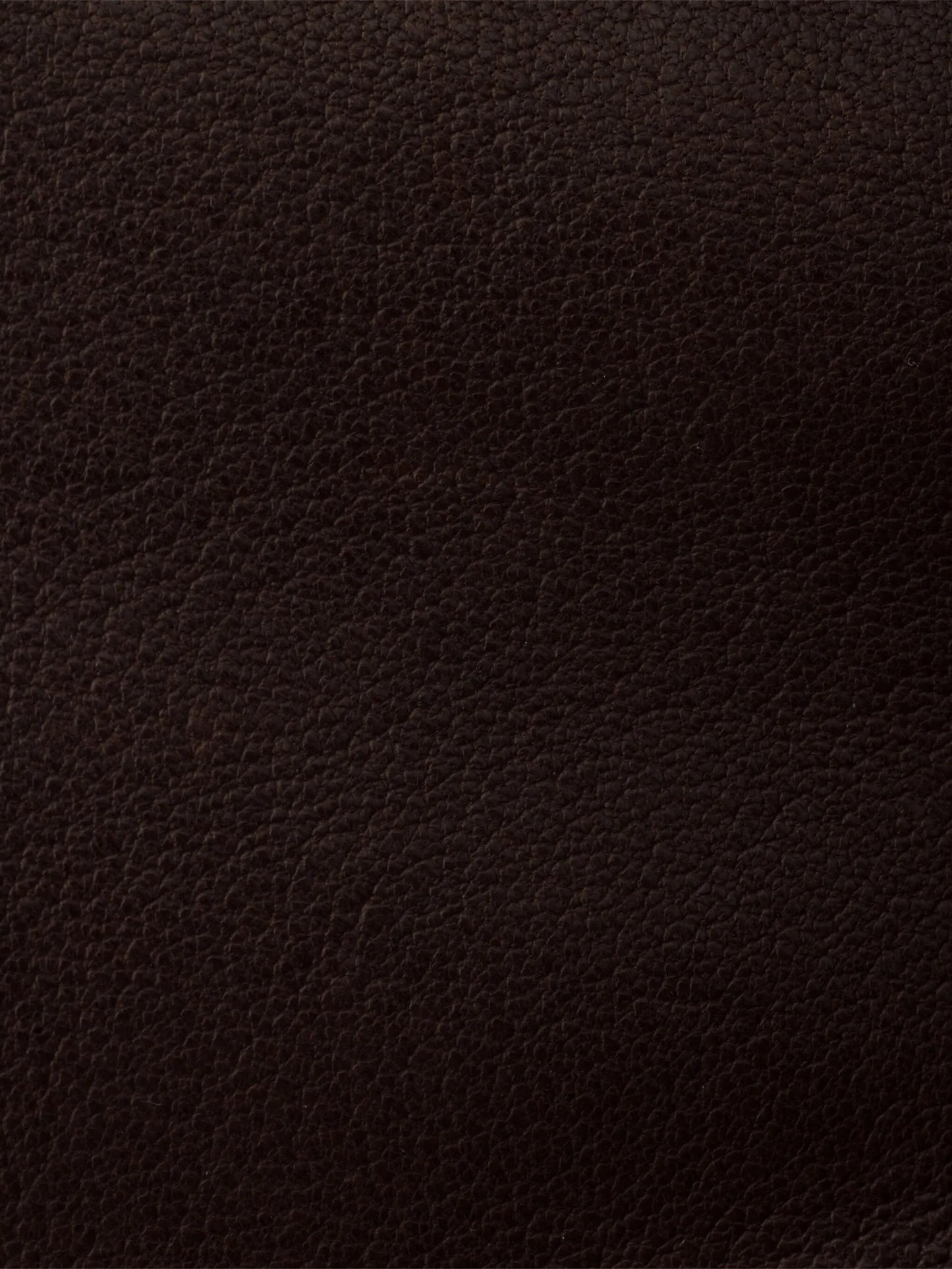 medium Explore leather shoulder bag