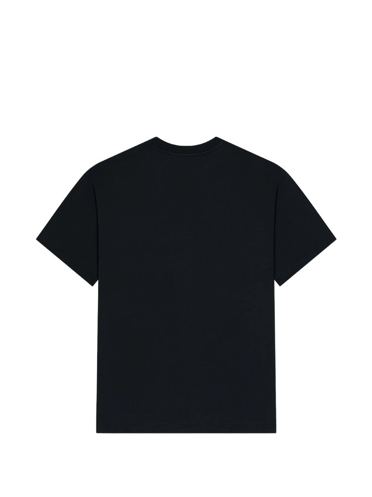 T-shirt in cotton with Paris gros grain