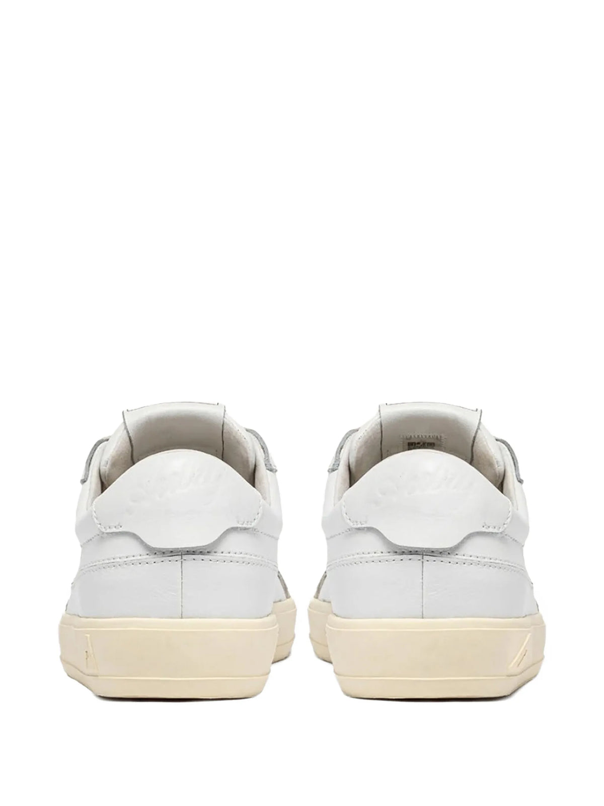 Windscape low sneakers in leather