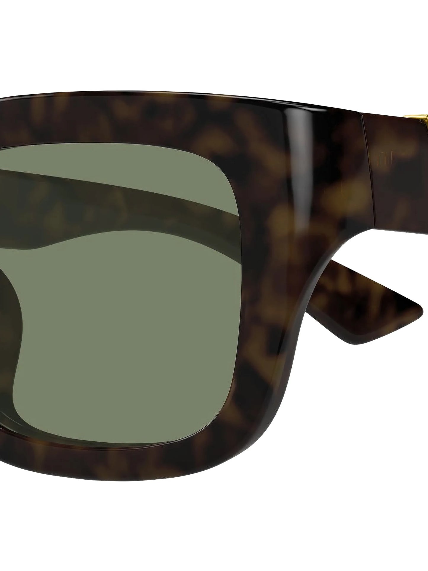 D-frame gold-detail sunglasses