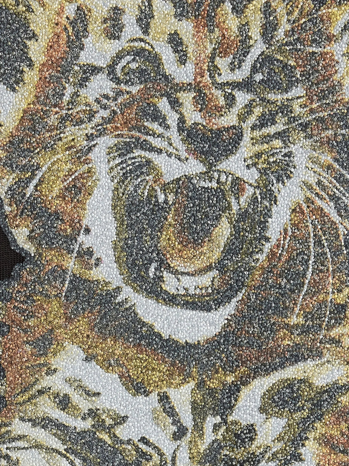 T-shirt with tiger