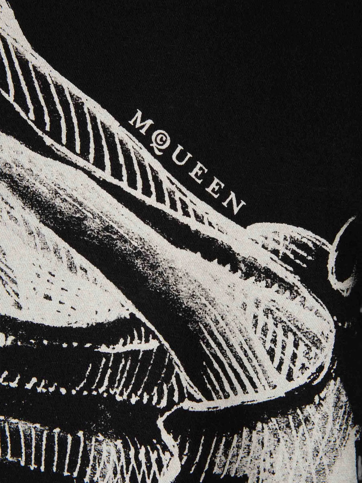 Sketch Anatomy T-shirt in black/ivory