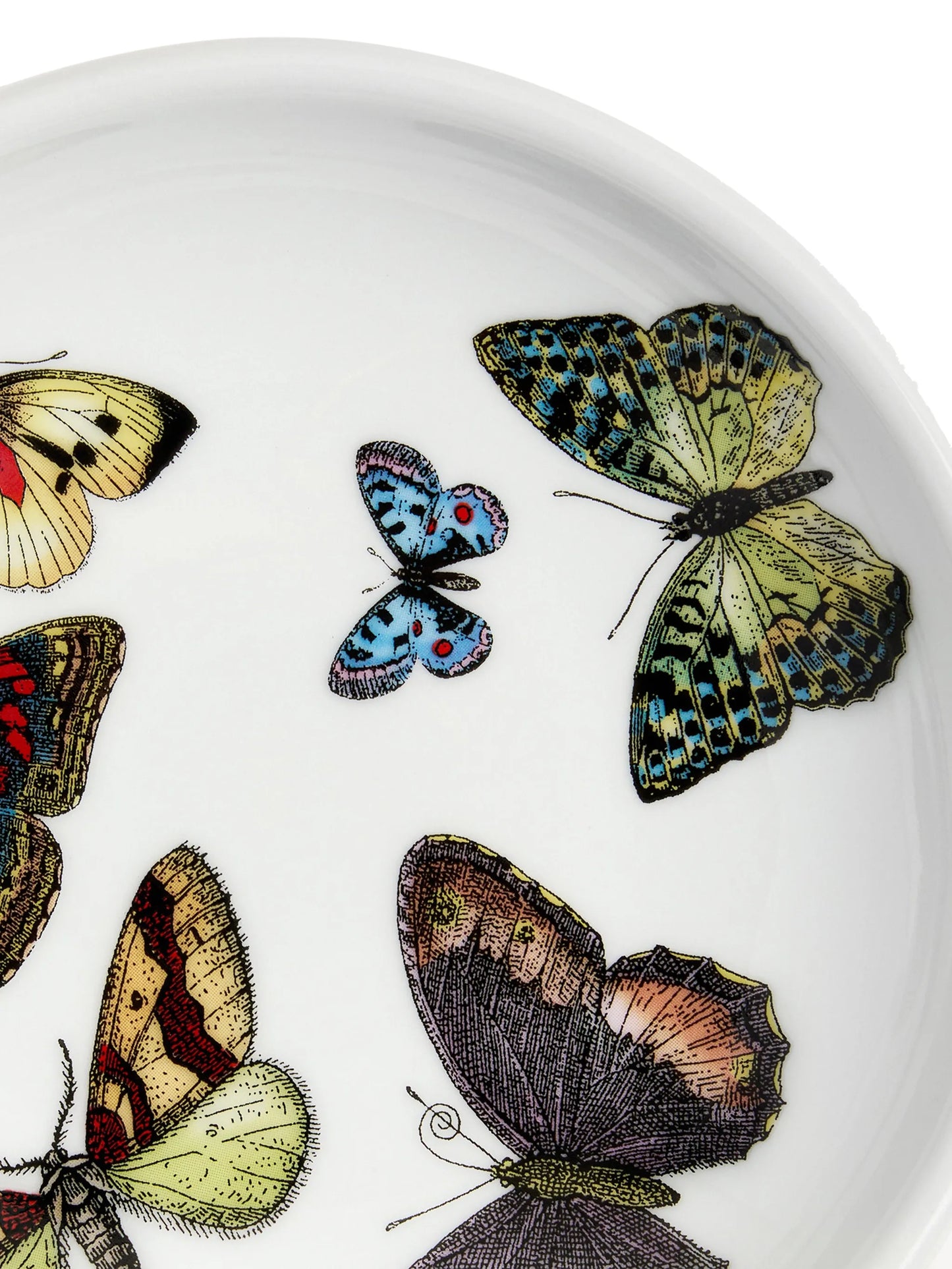 butterfly-print trinked tray