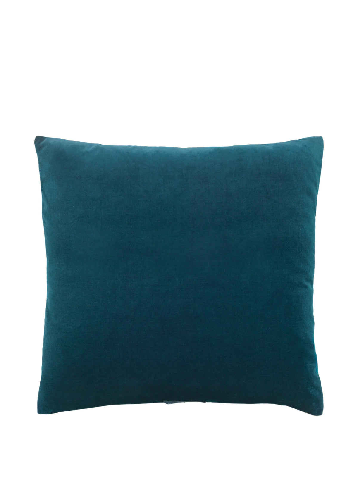 Hennie velvet cushion