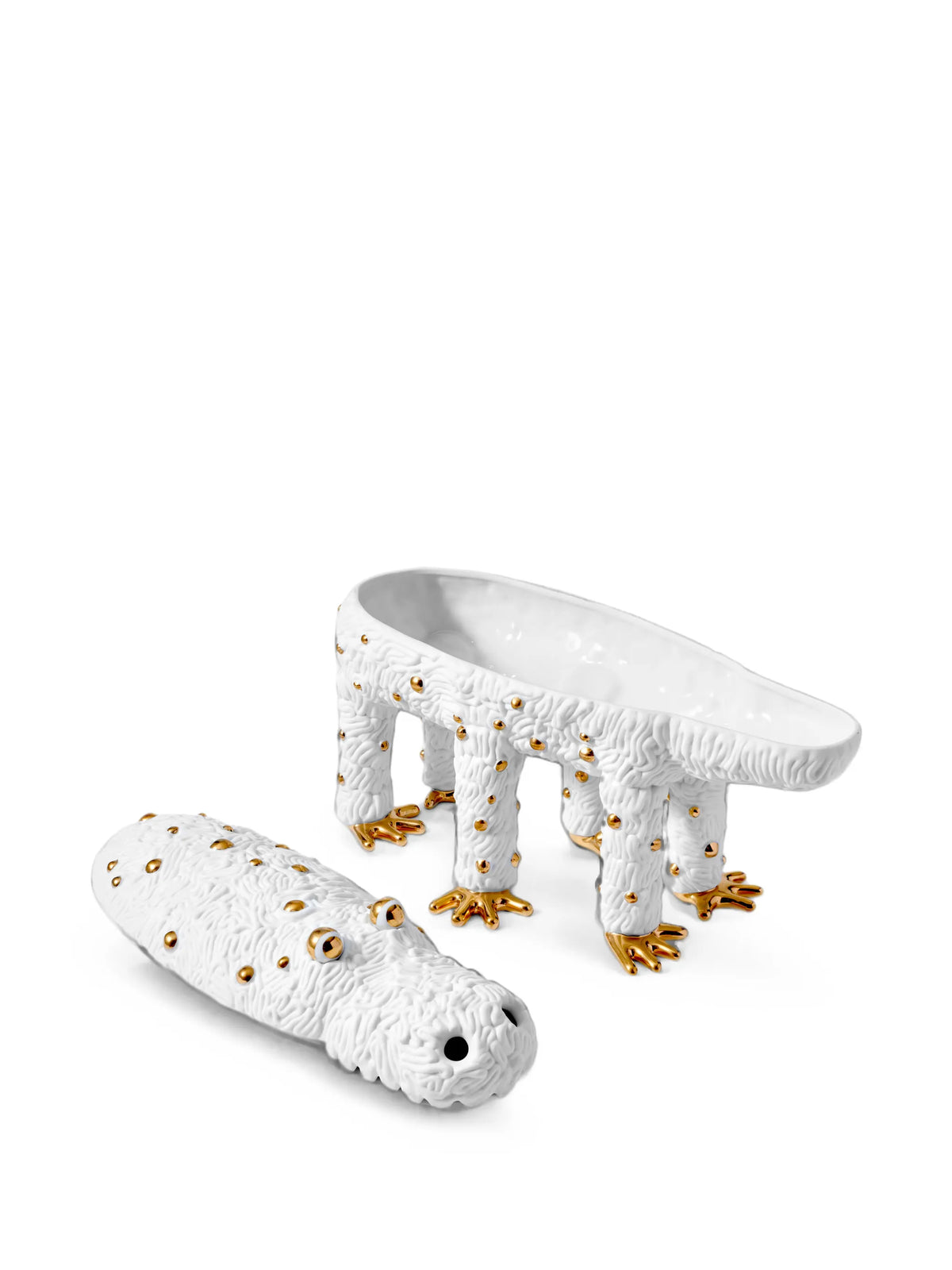 x Haas Brothers Pedro the Croc box