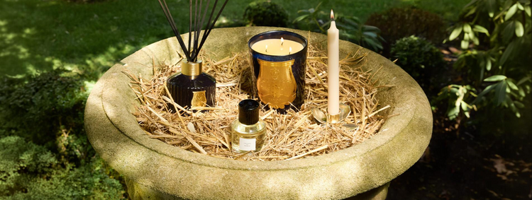 Trudon Home