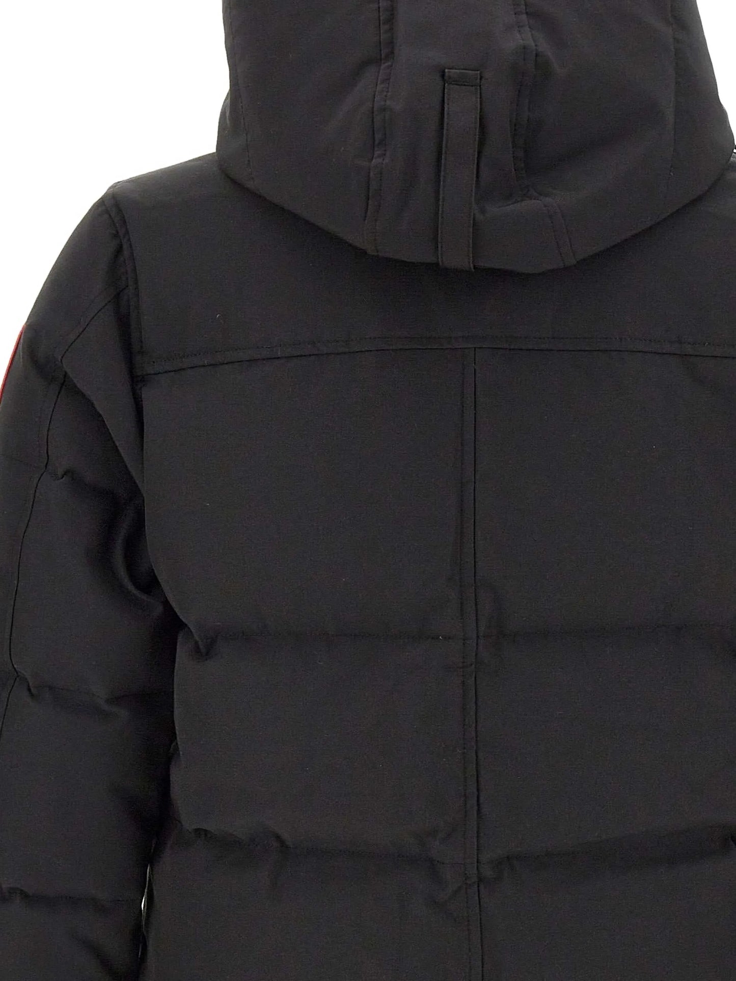 Macmillan jacket