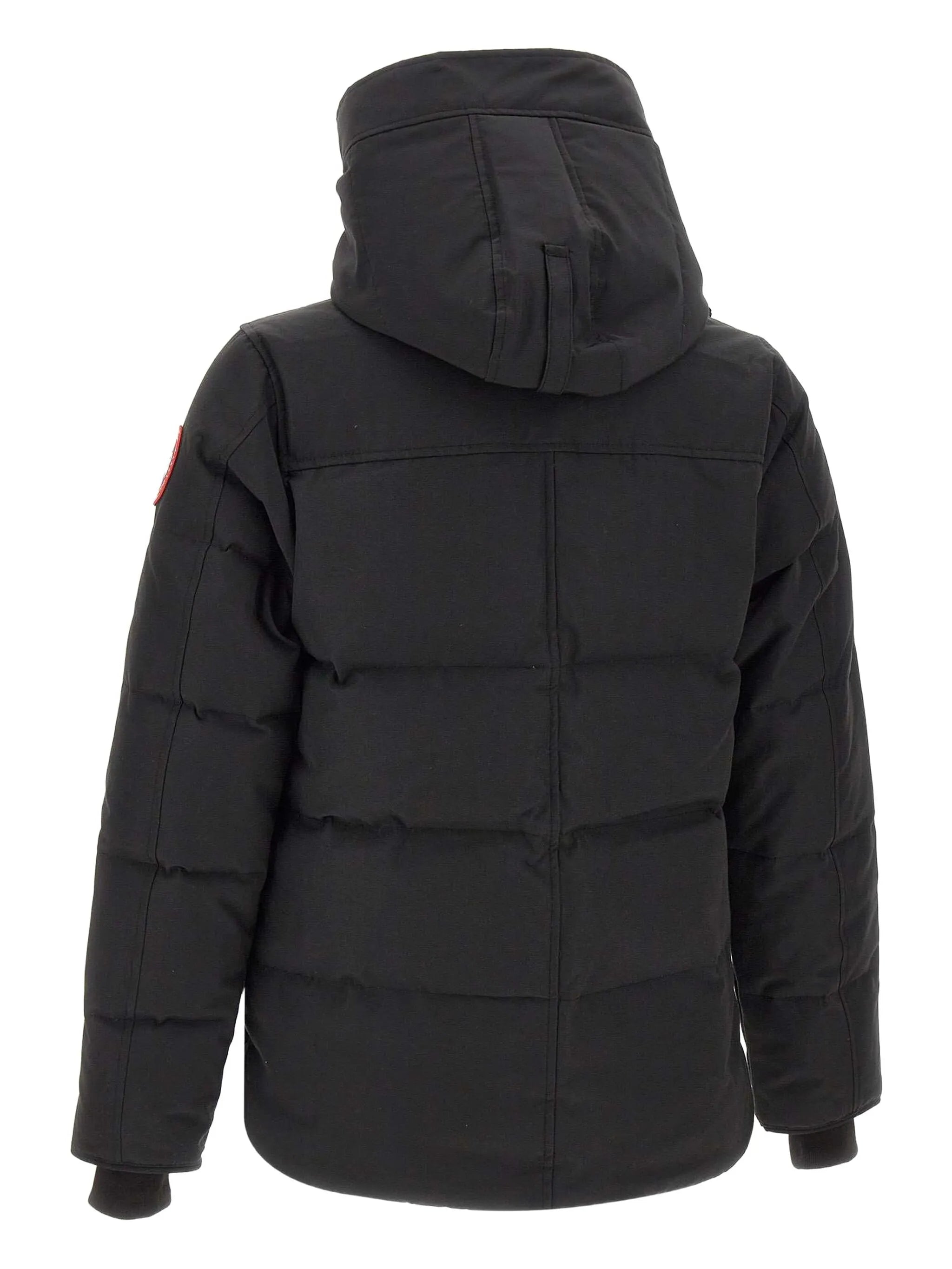 Macmillan jacket