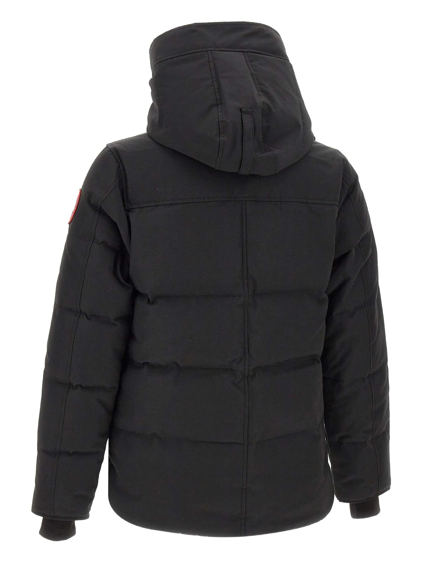 Macmillan jacket
