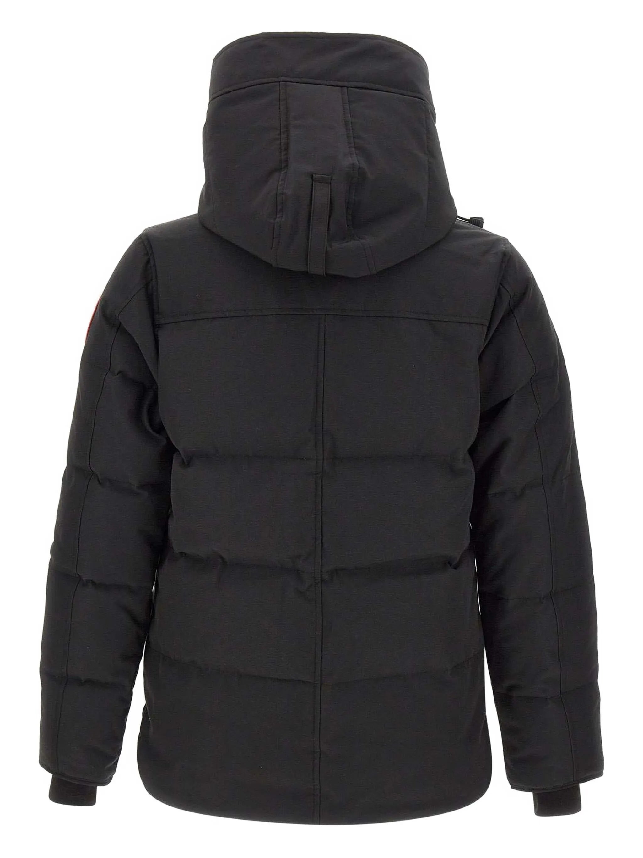 Macmillan jacket