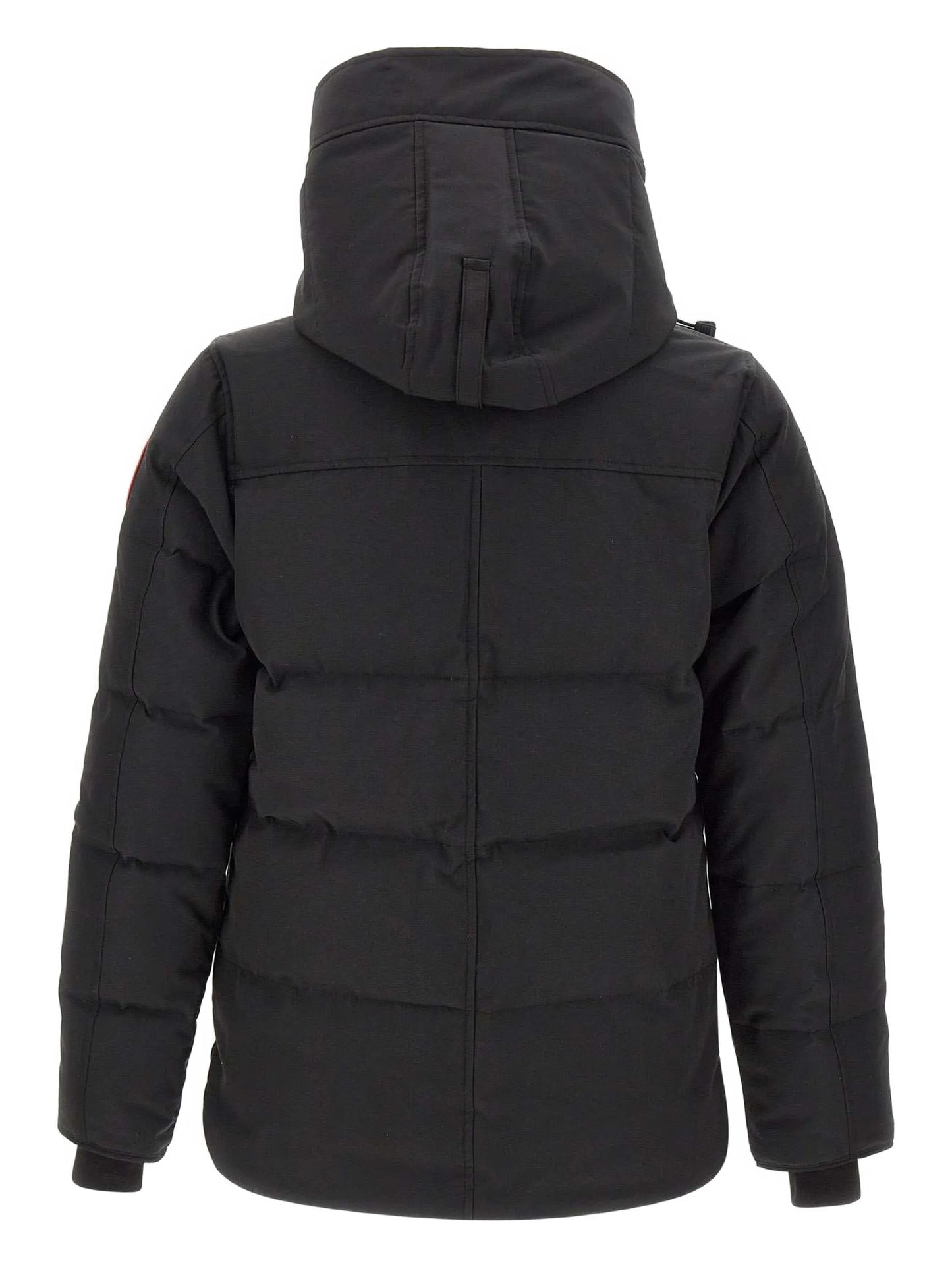 Macmillan jacket