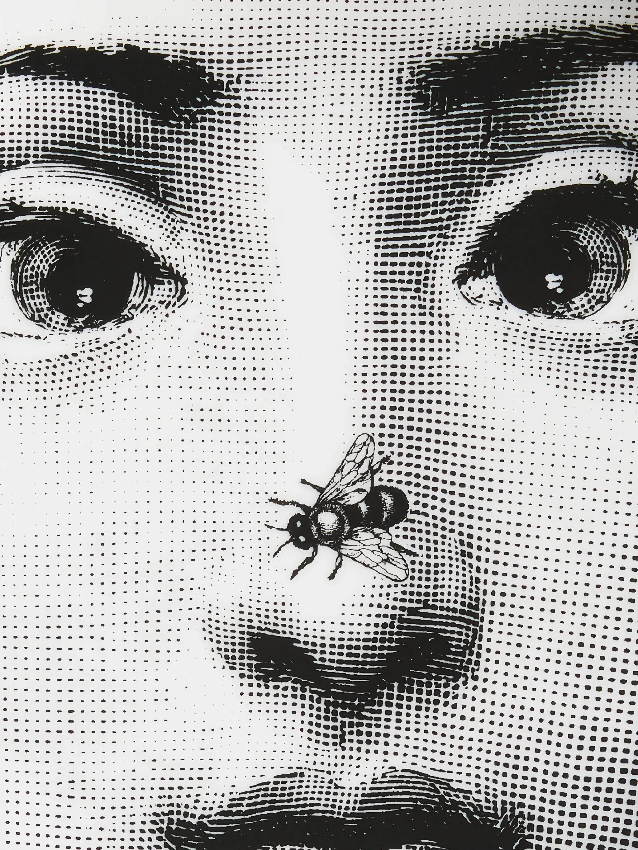 face print plate