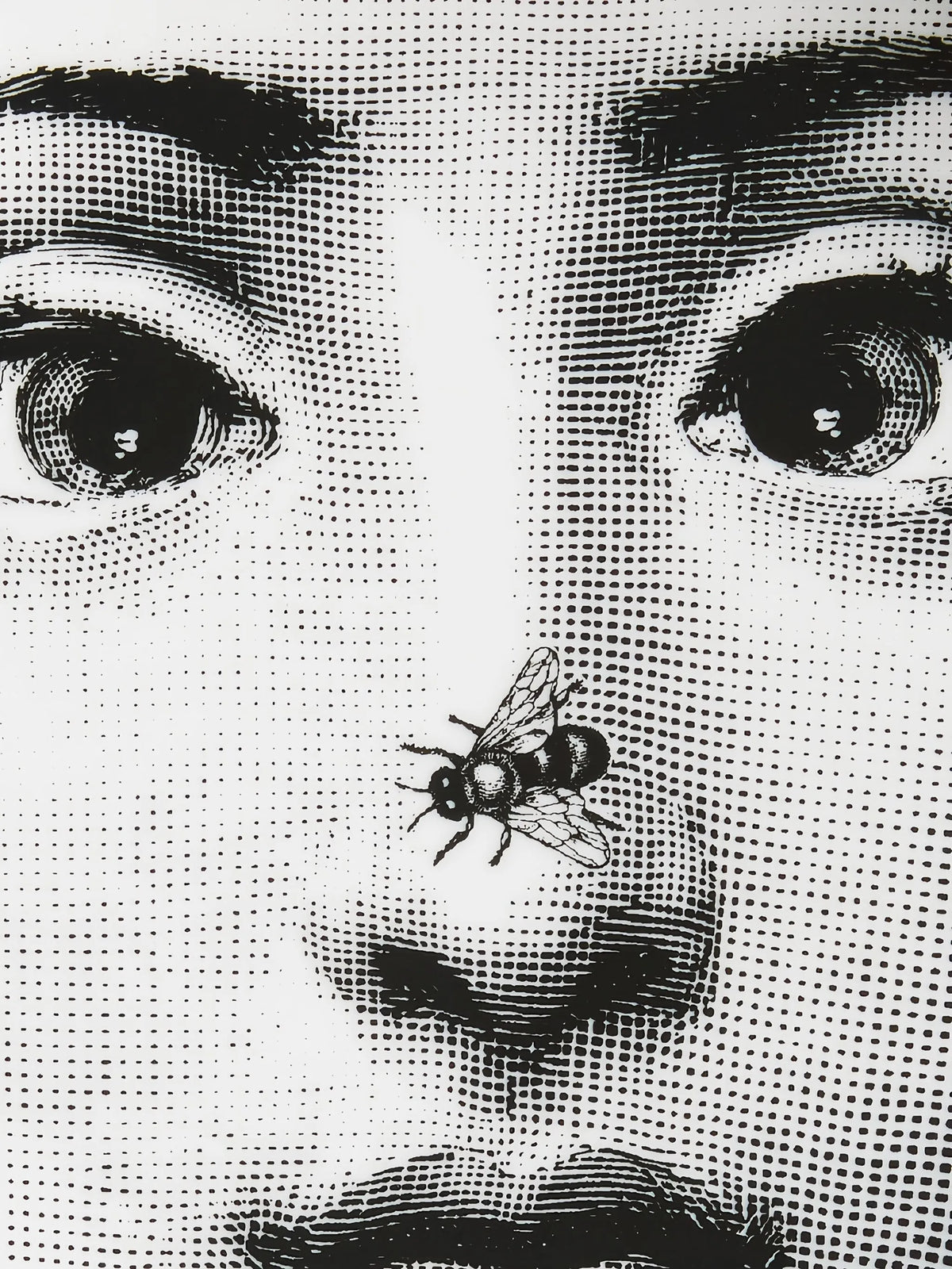 face print plate