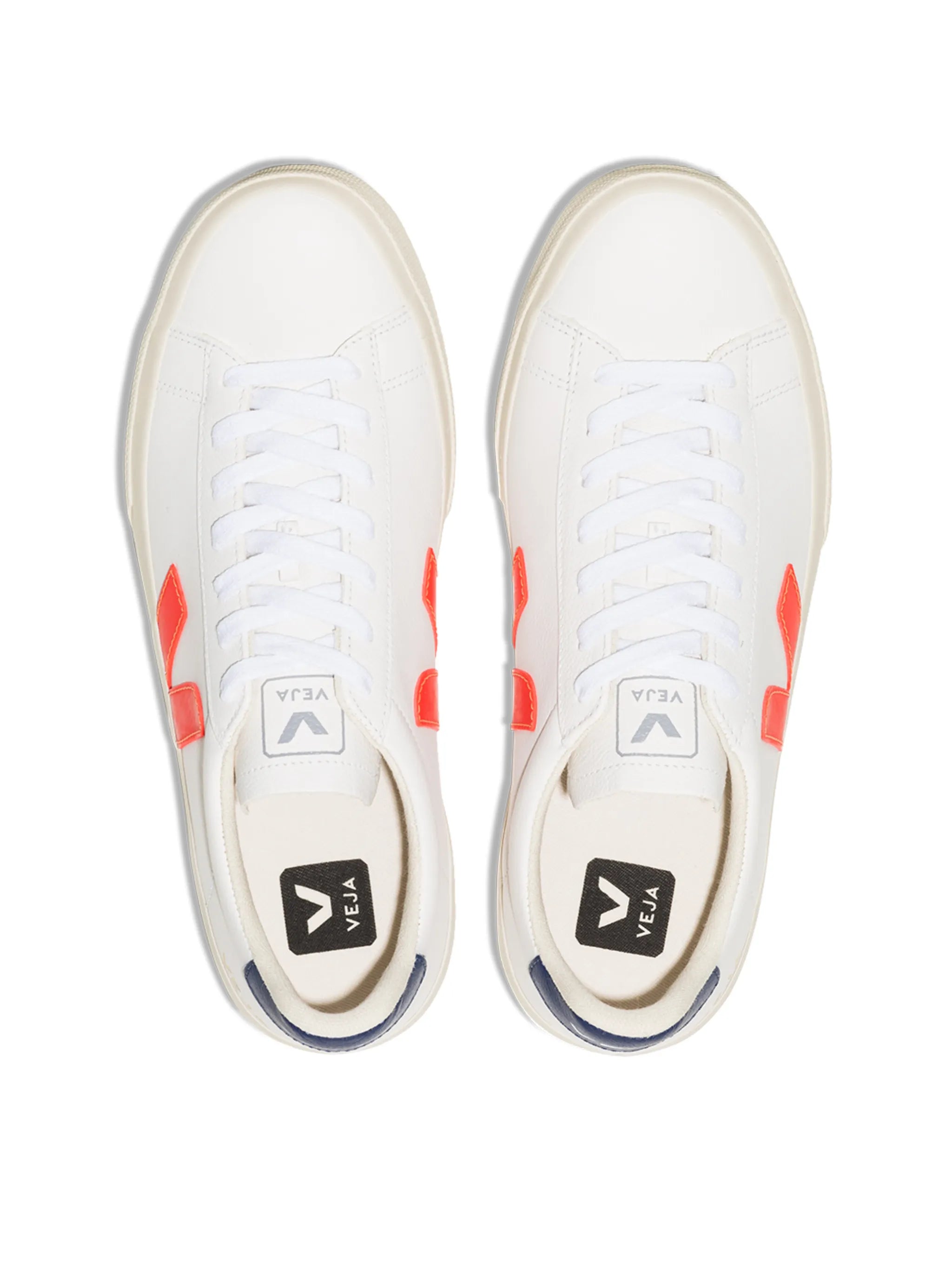 Campo low top sneakers