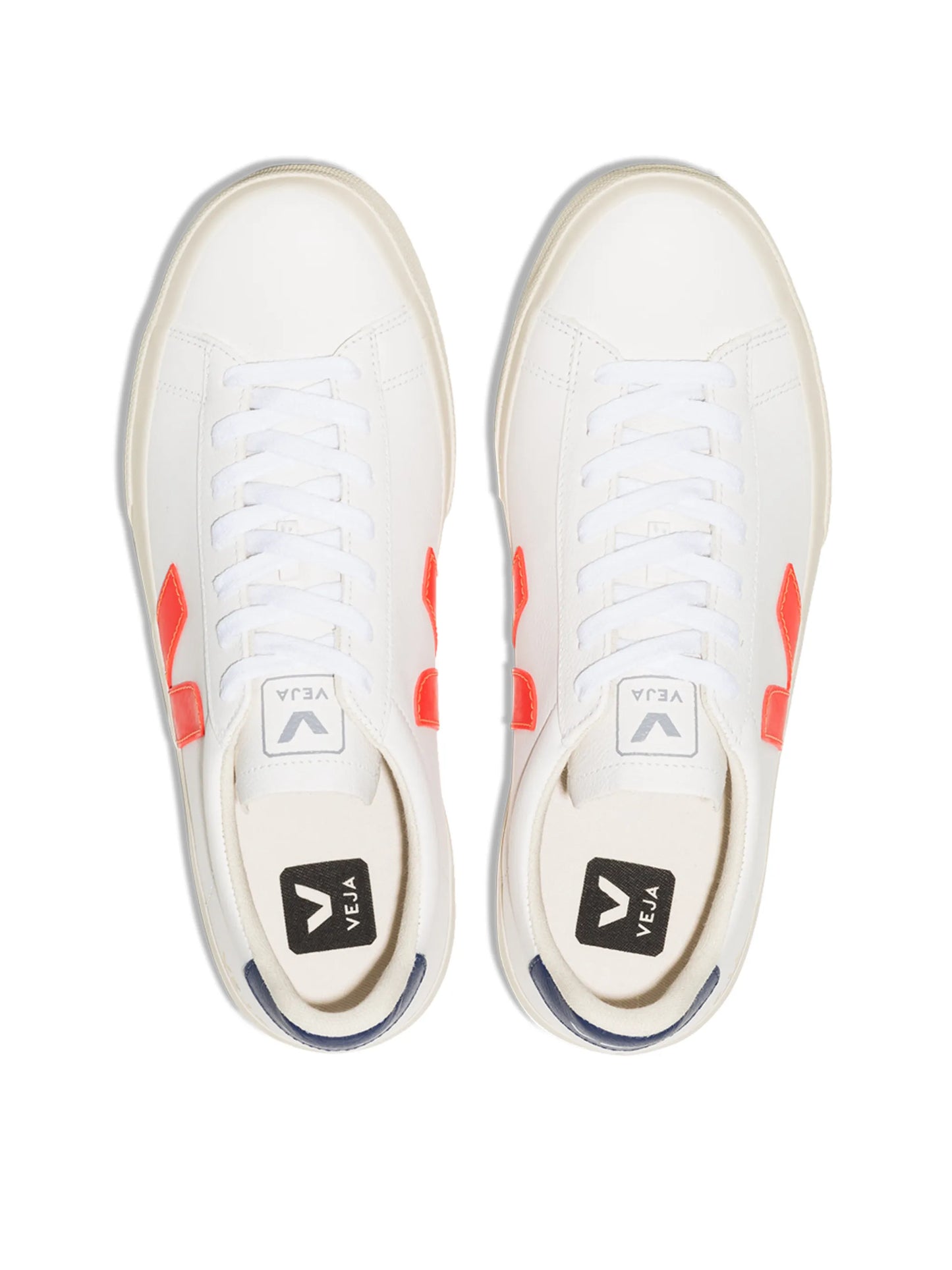 Campo low top sneakers