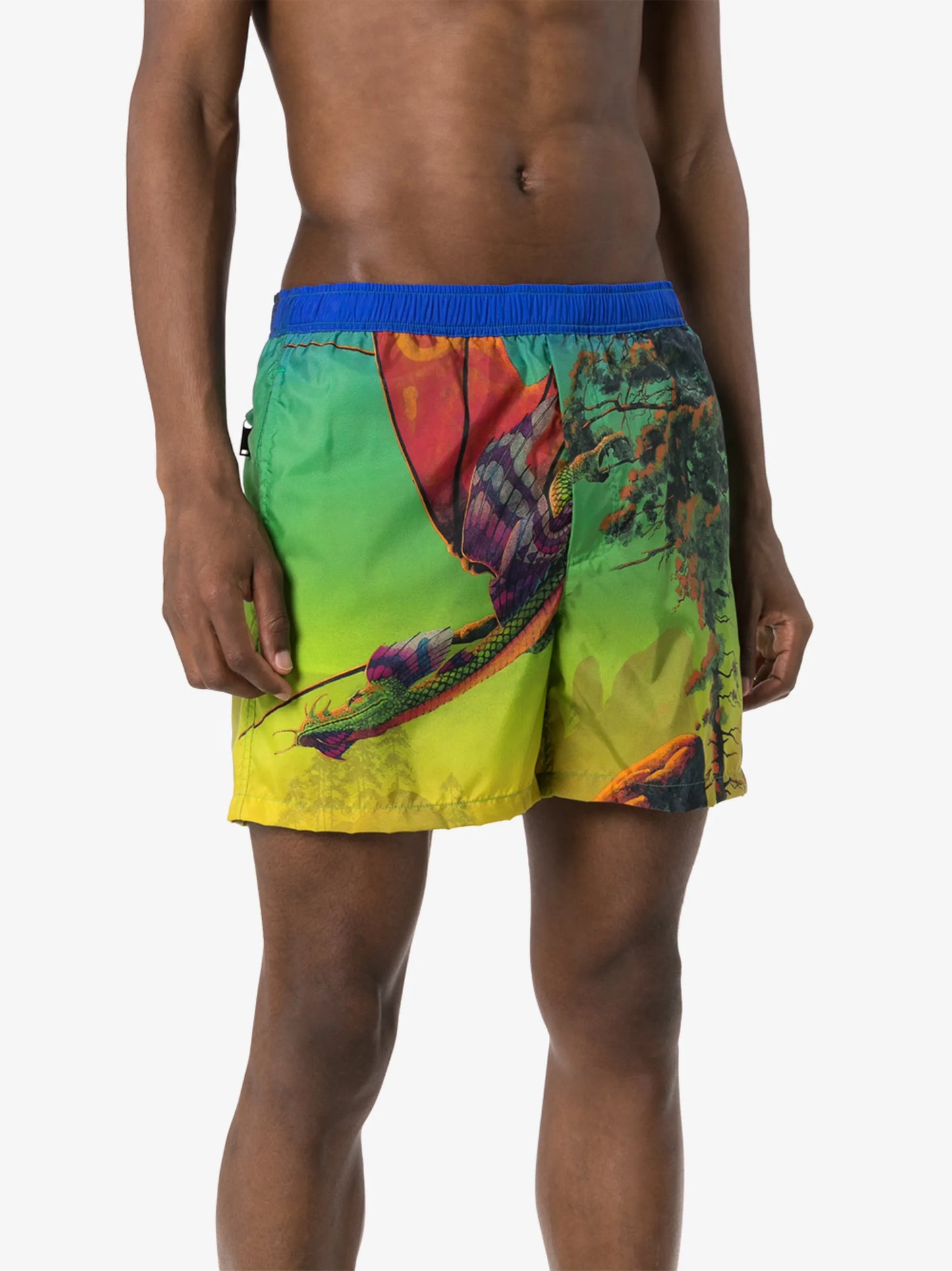 Dragon At Dawn print swim shorts
