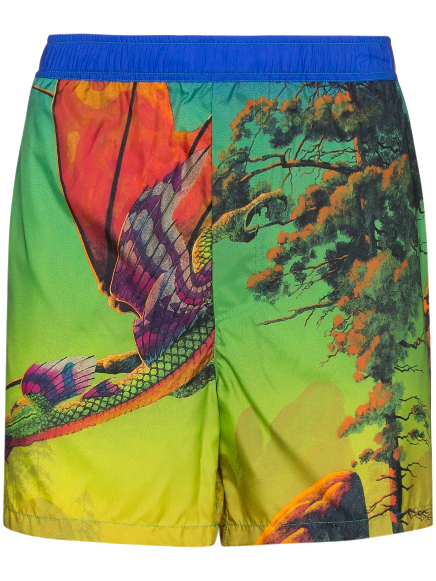 Dragon At Dawn print swim shorts