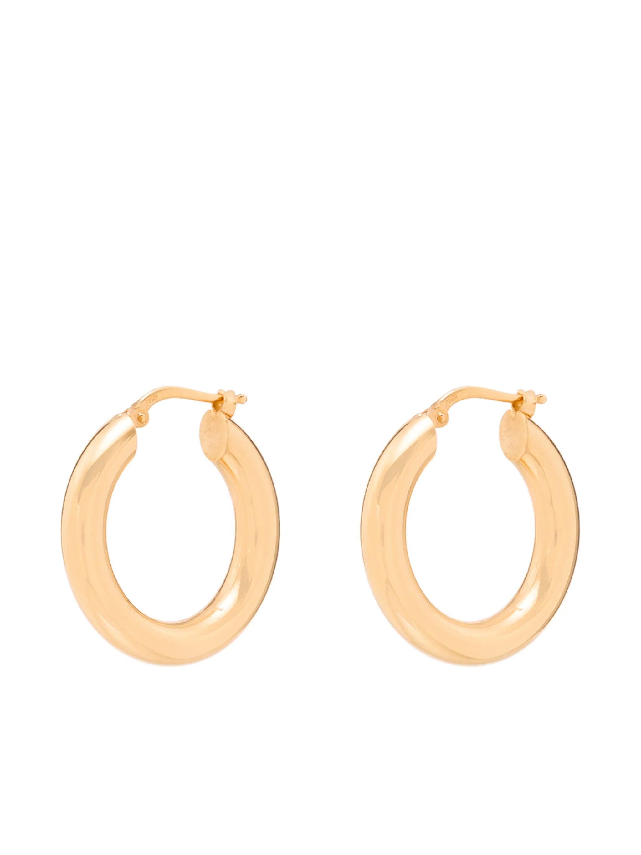 hoop earrings