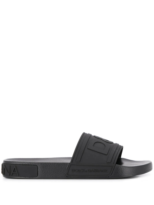 DG Logo slides