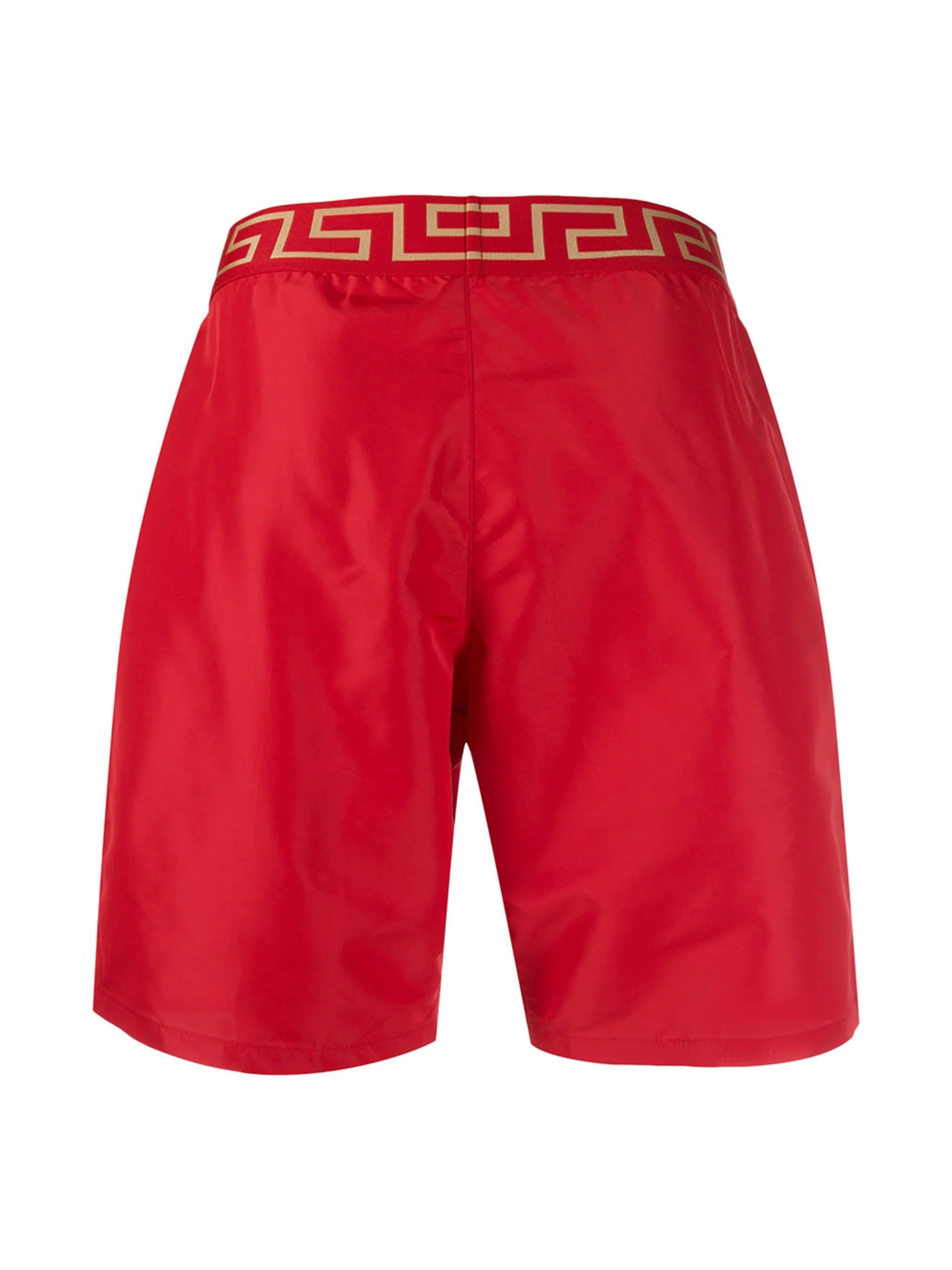 Greca Border swim shorts