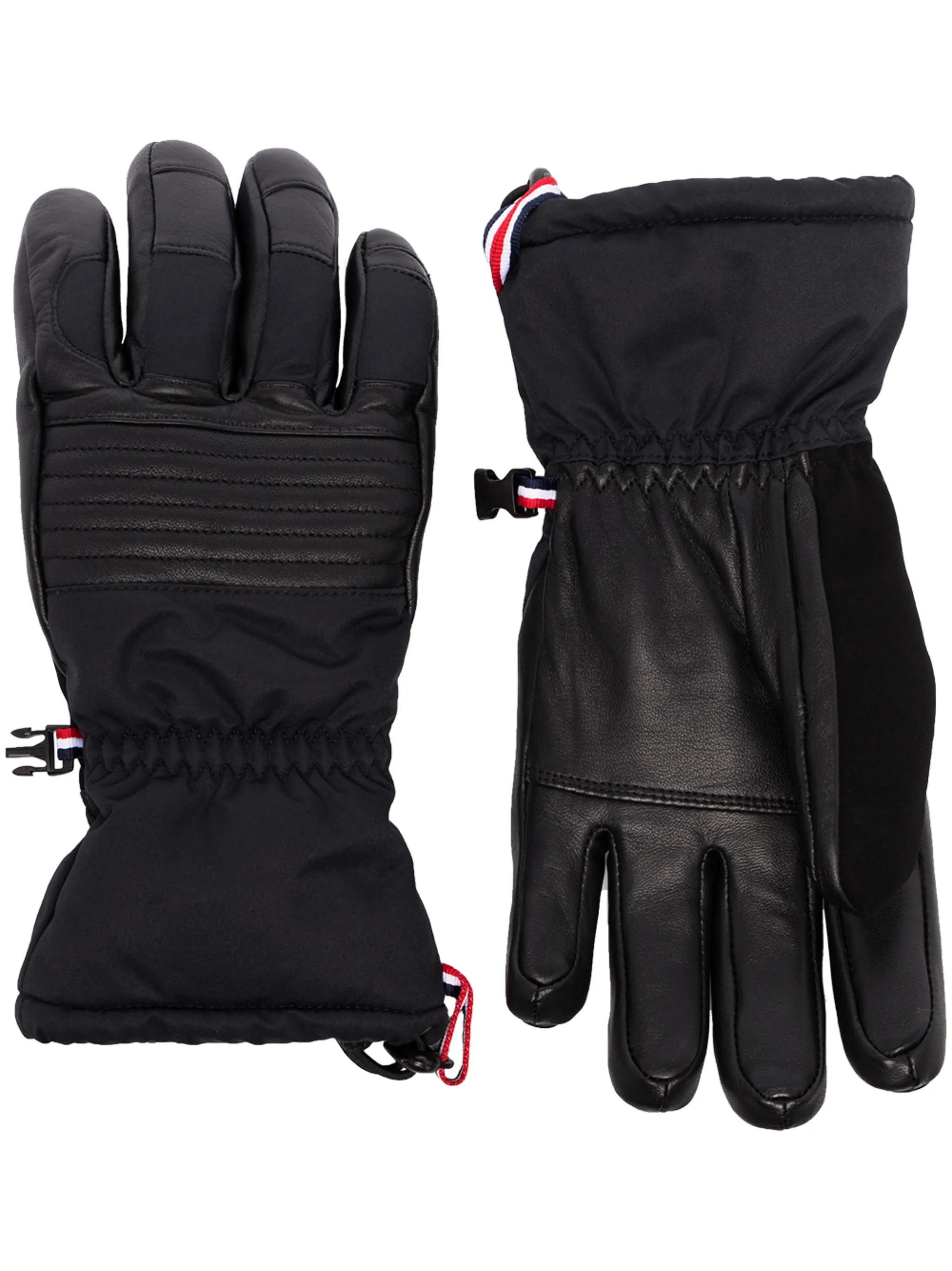 Albinen ski gloves