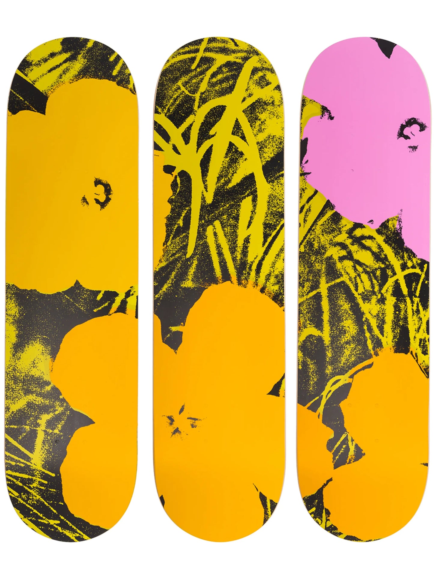 x Andy Warhol floral print set of three skate decks