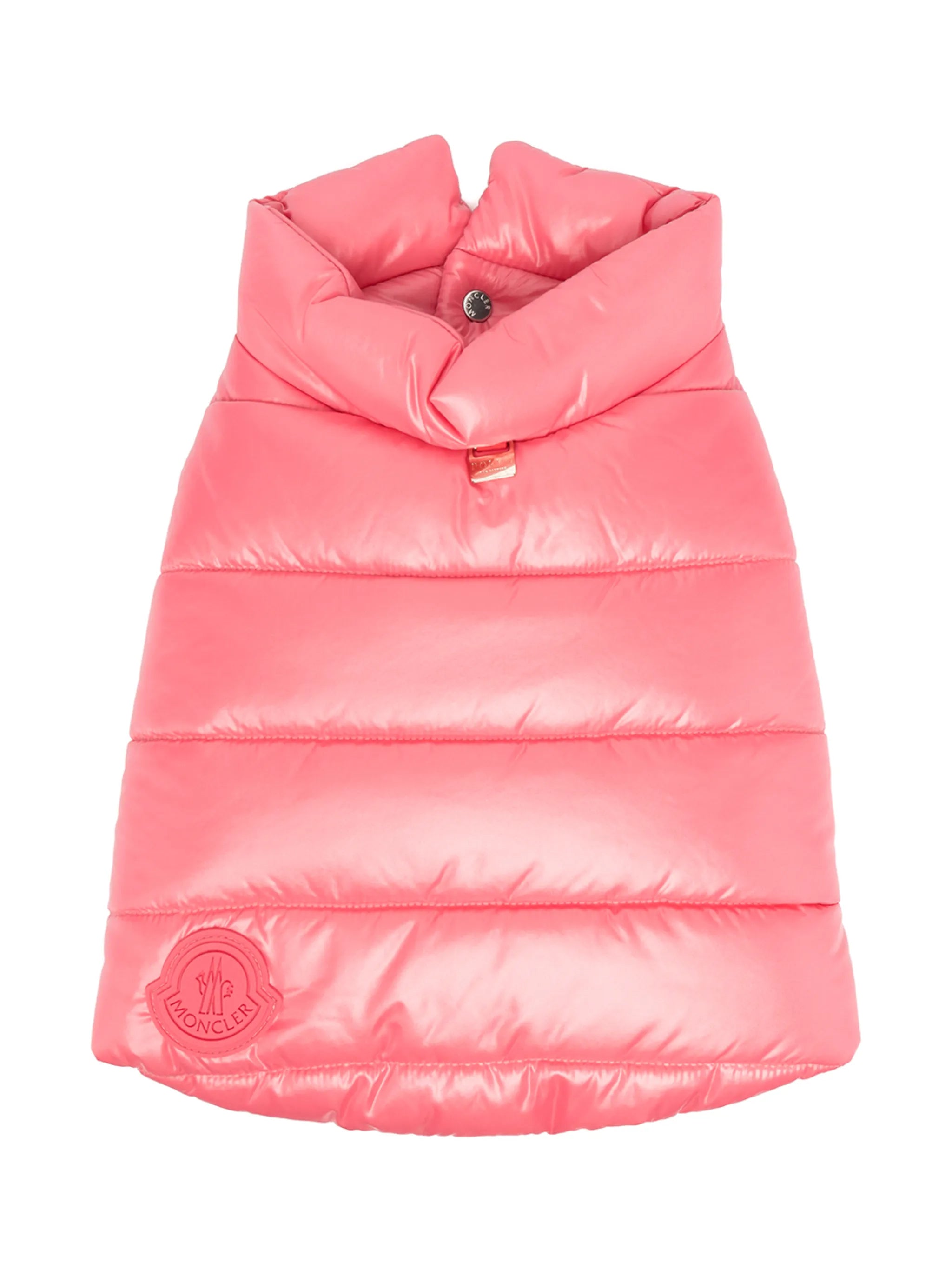 padded dog coat