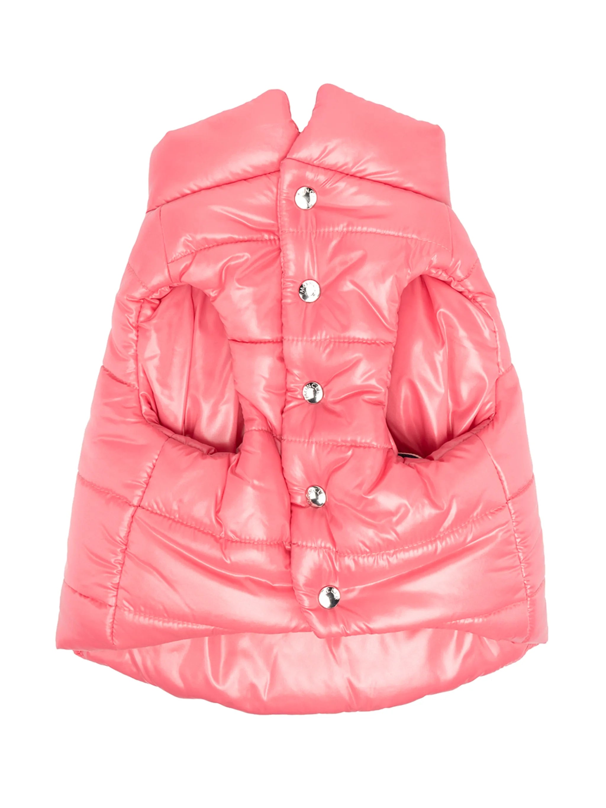 padded dog coat