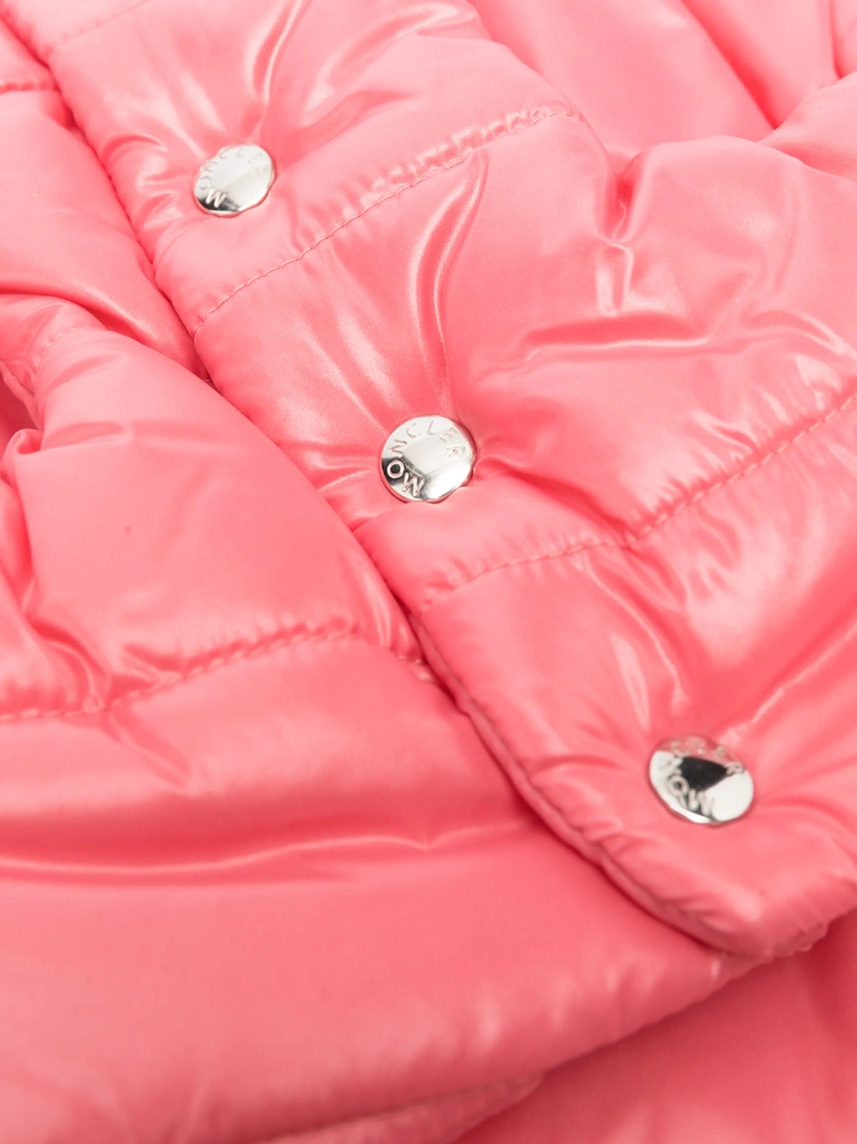 padded dog coat