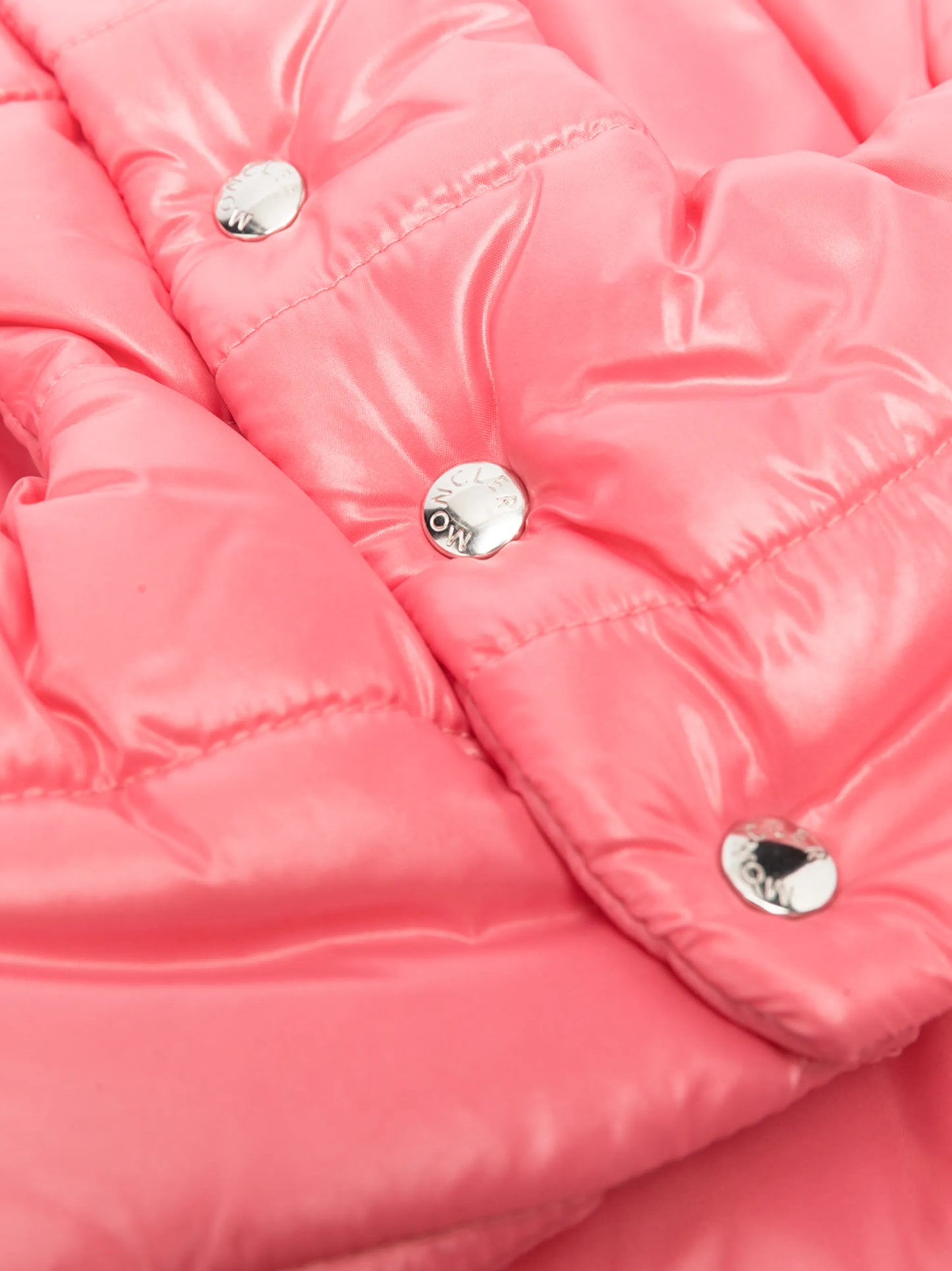 padded dog coat