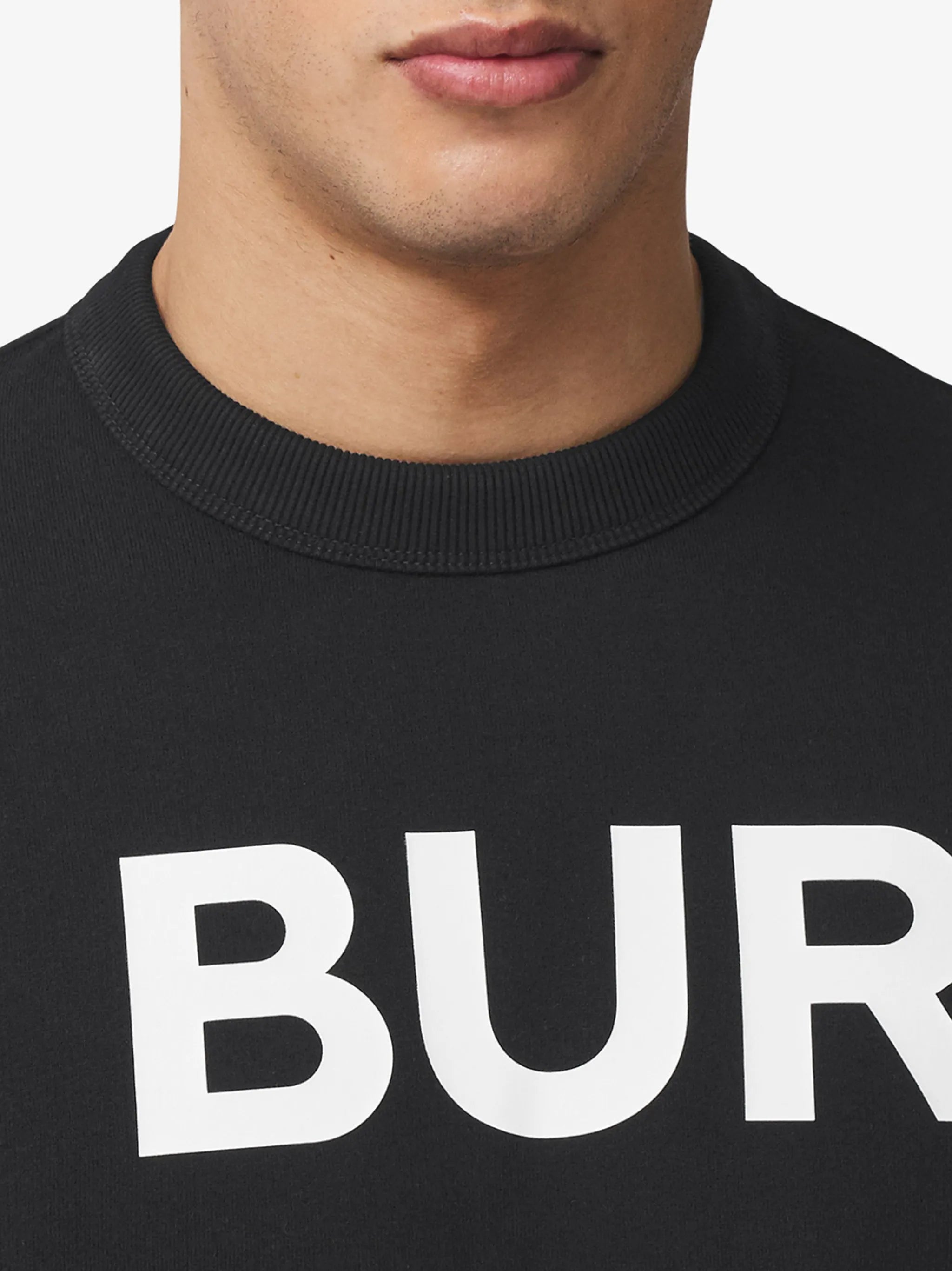 Horseferry-print cotton sweatshirt