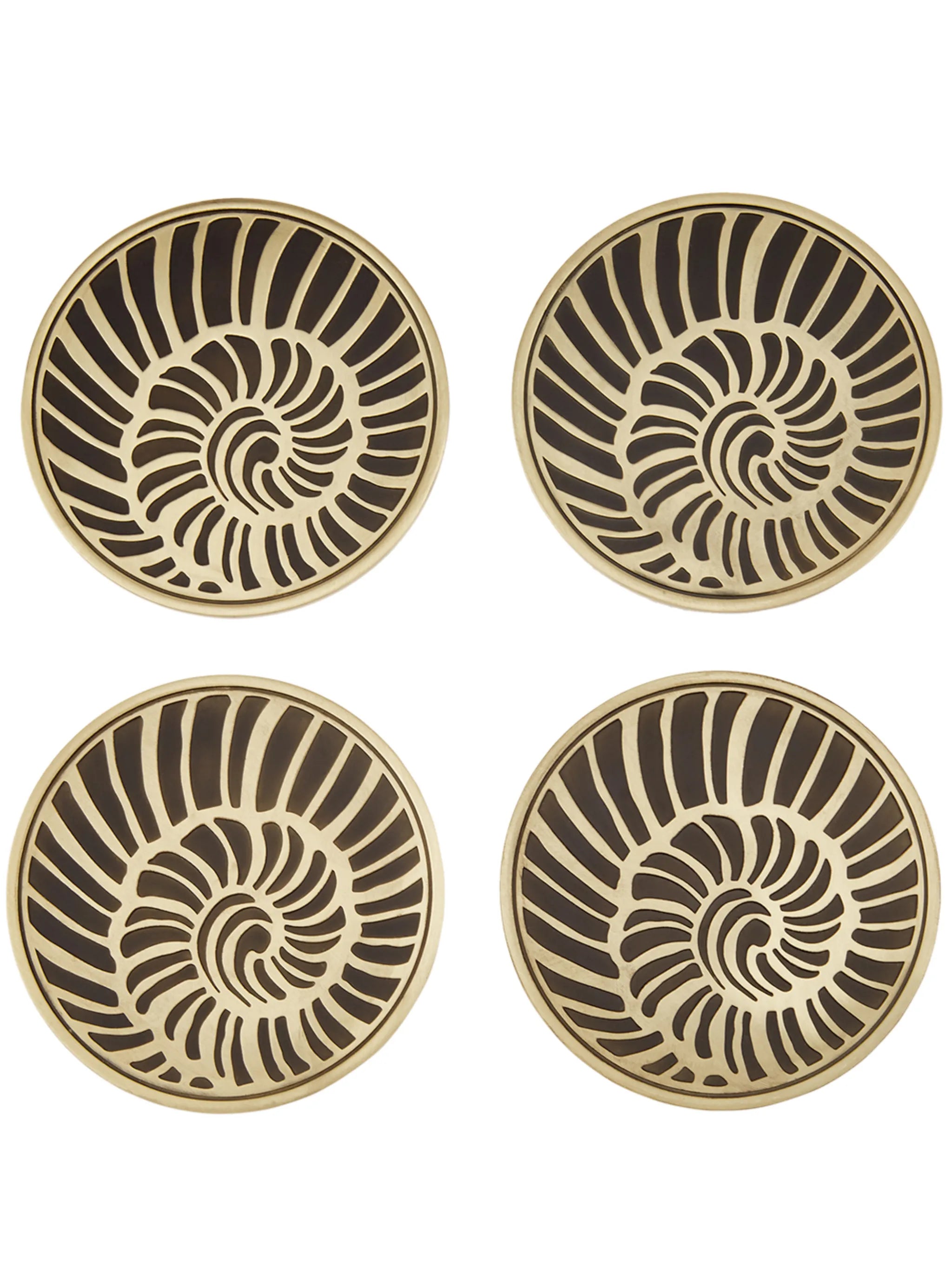 Seashell coaster (set of 4)