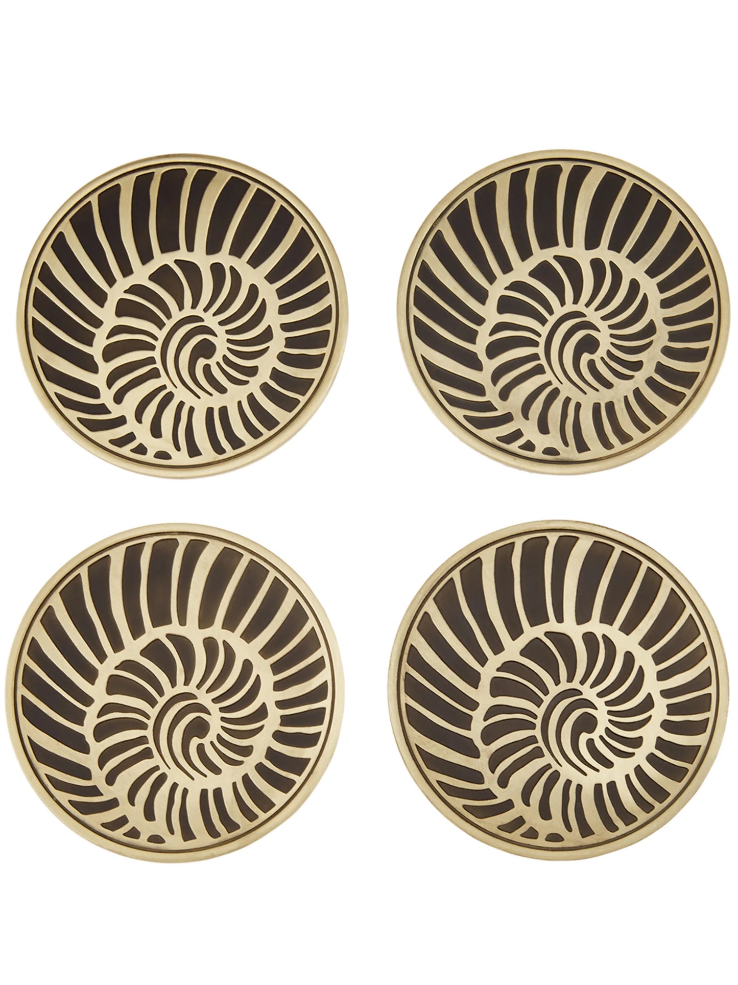 Seashell coaster (set of 4)