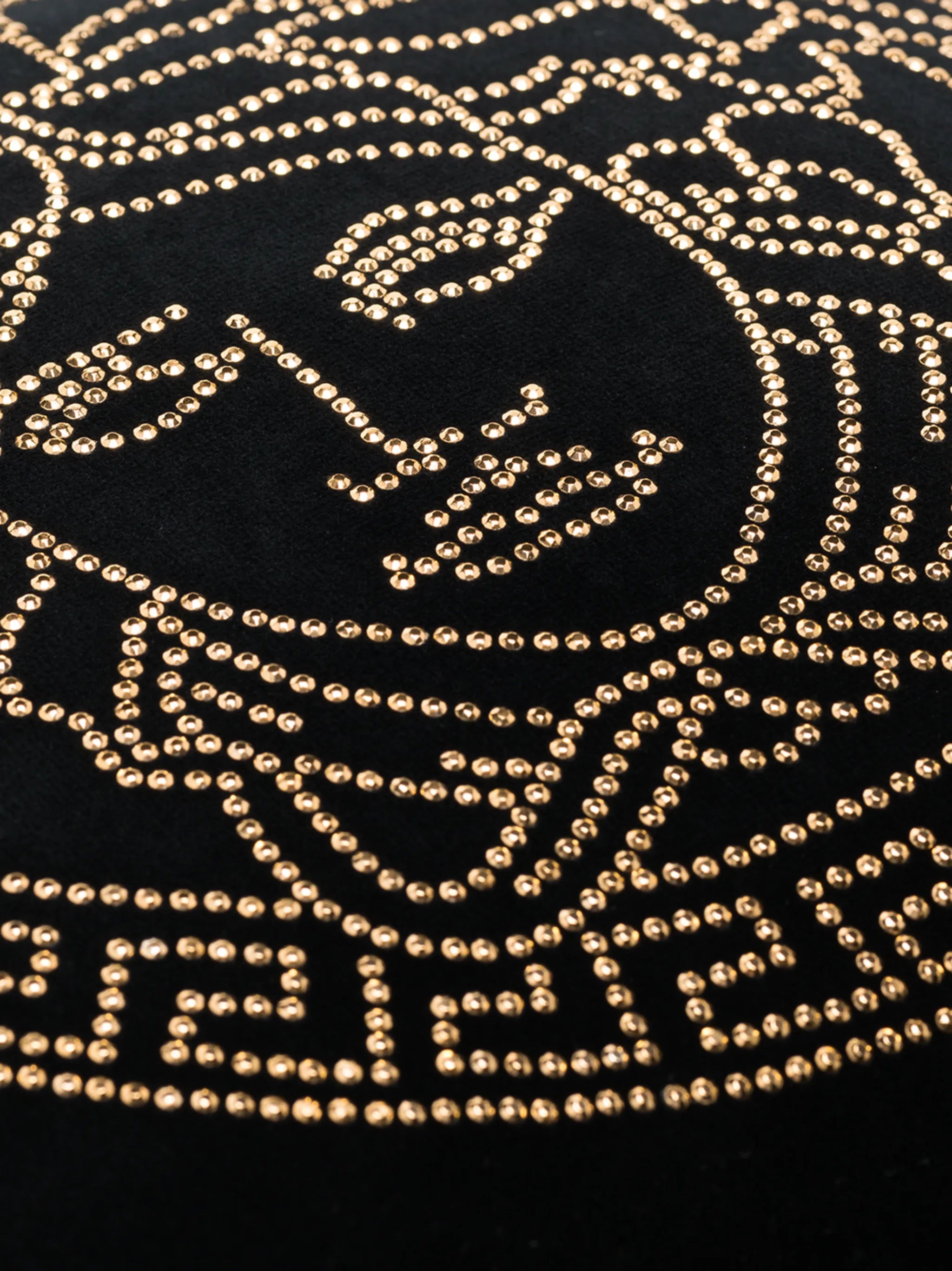sequin Medusa logo cushion