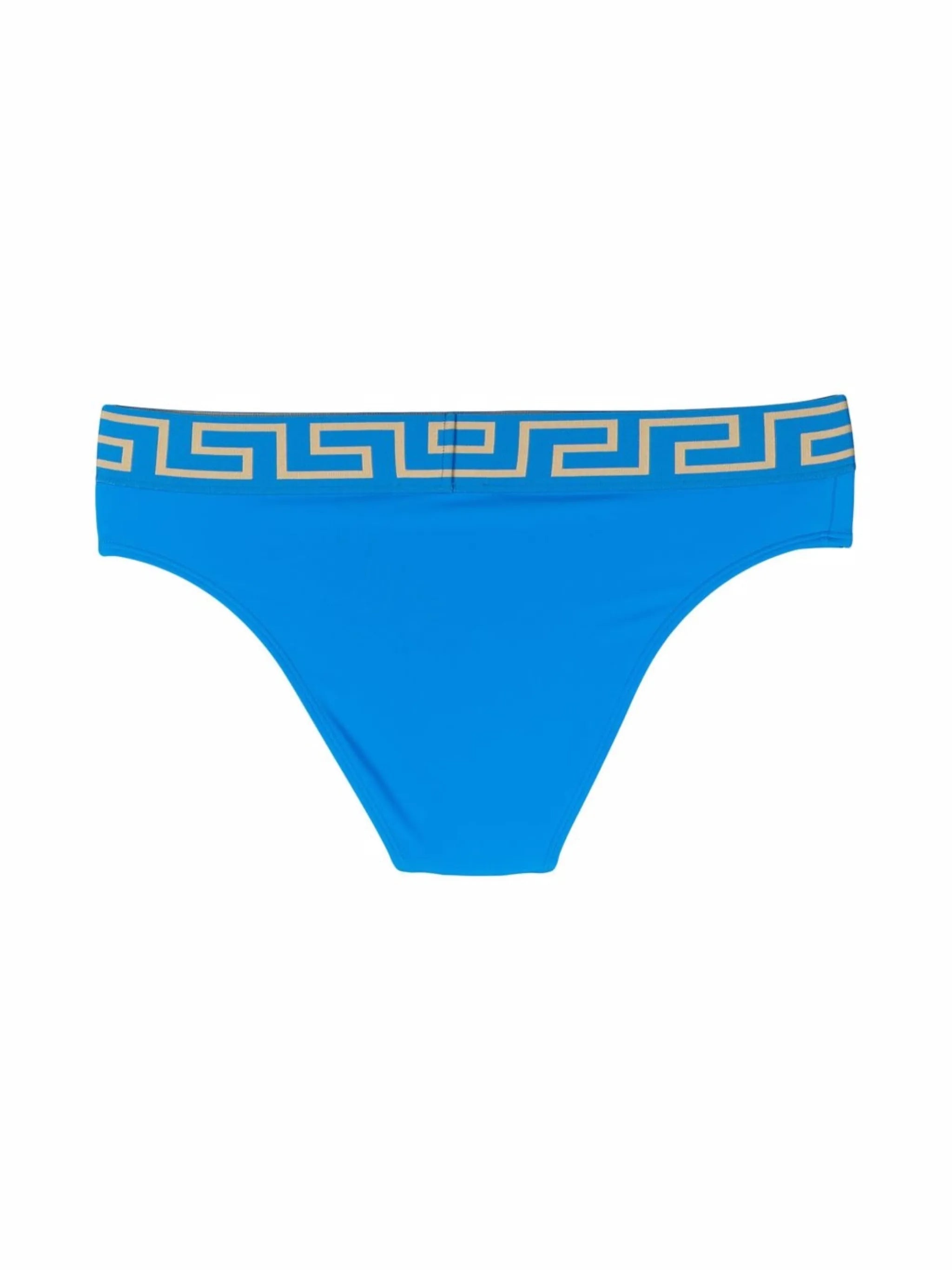 Greca Border bikini bottoms