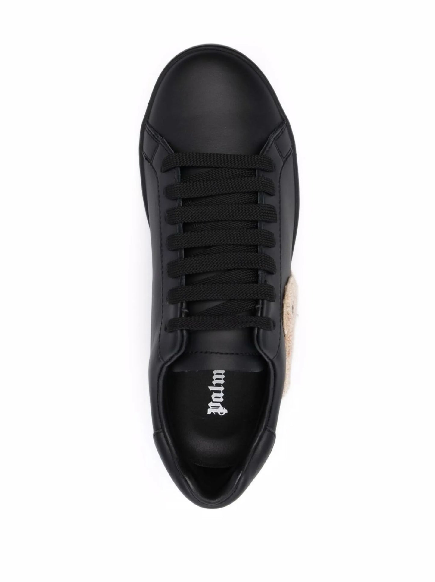New Teddy Bear tennis sneakers