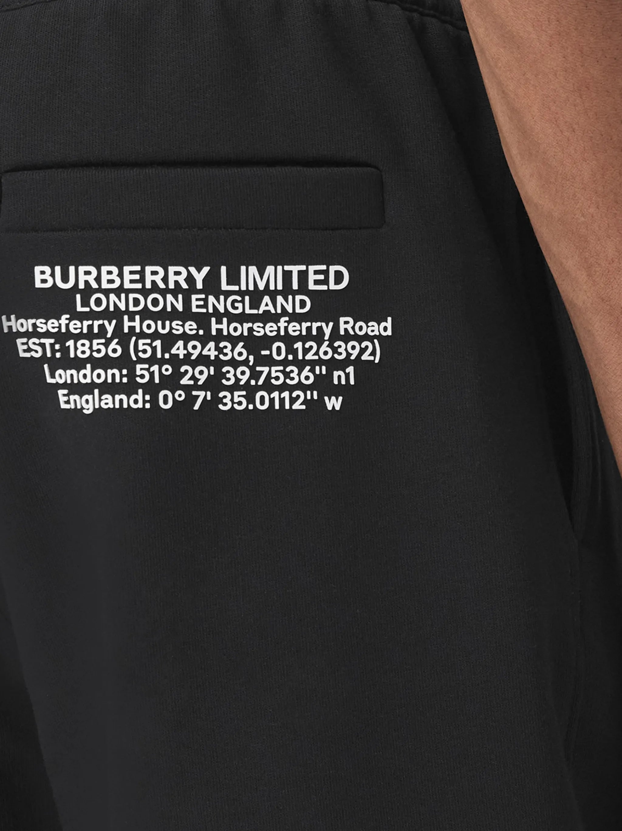 Ari coordinates print track shorts