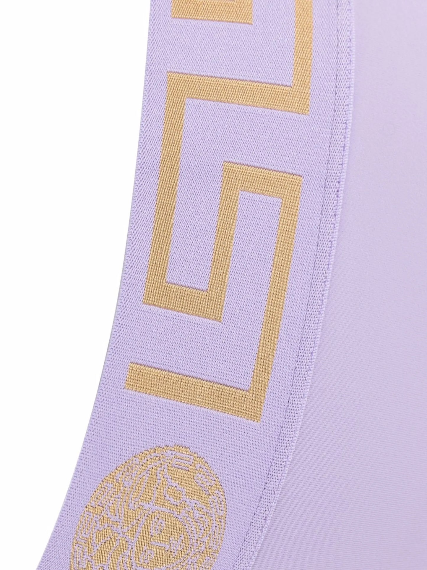 Greca Border bikini bottoms