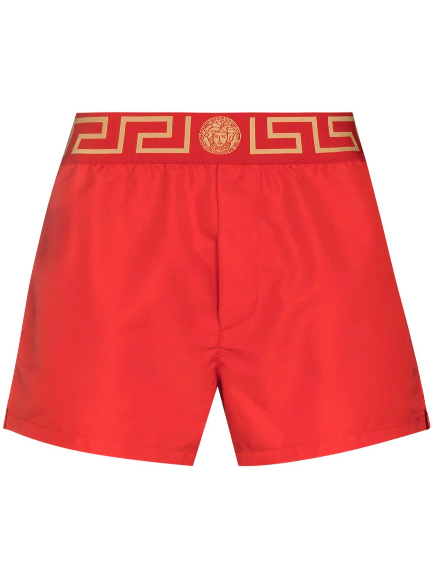 Greca Border swim shorts