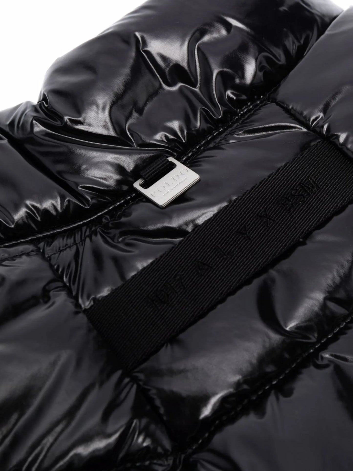 padded dog coat