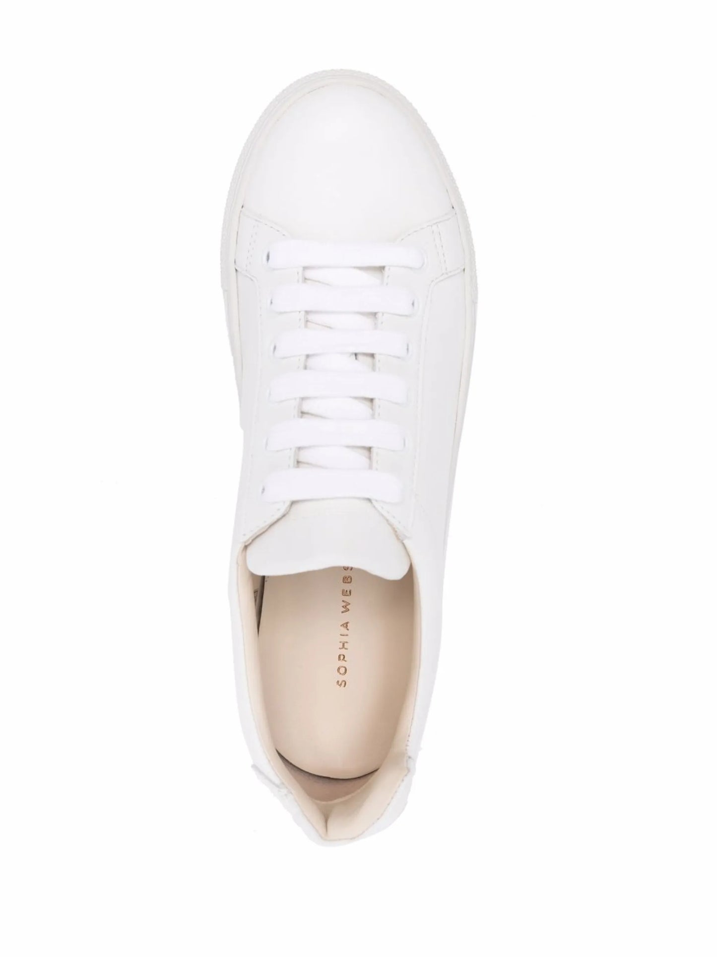 Butterfly low-top sneakers