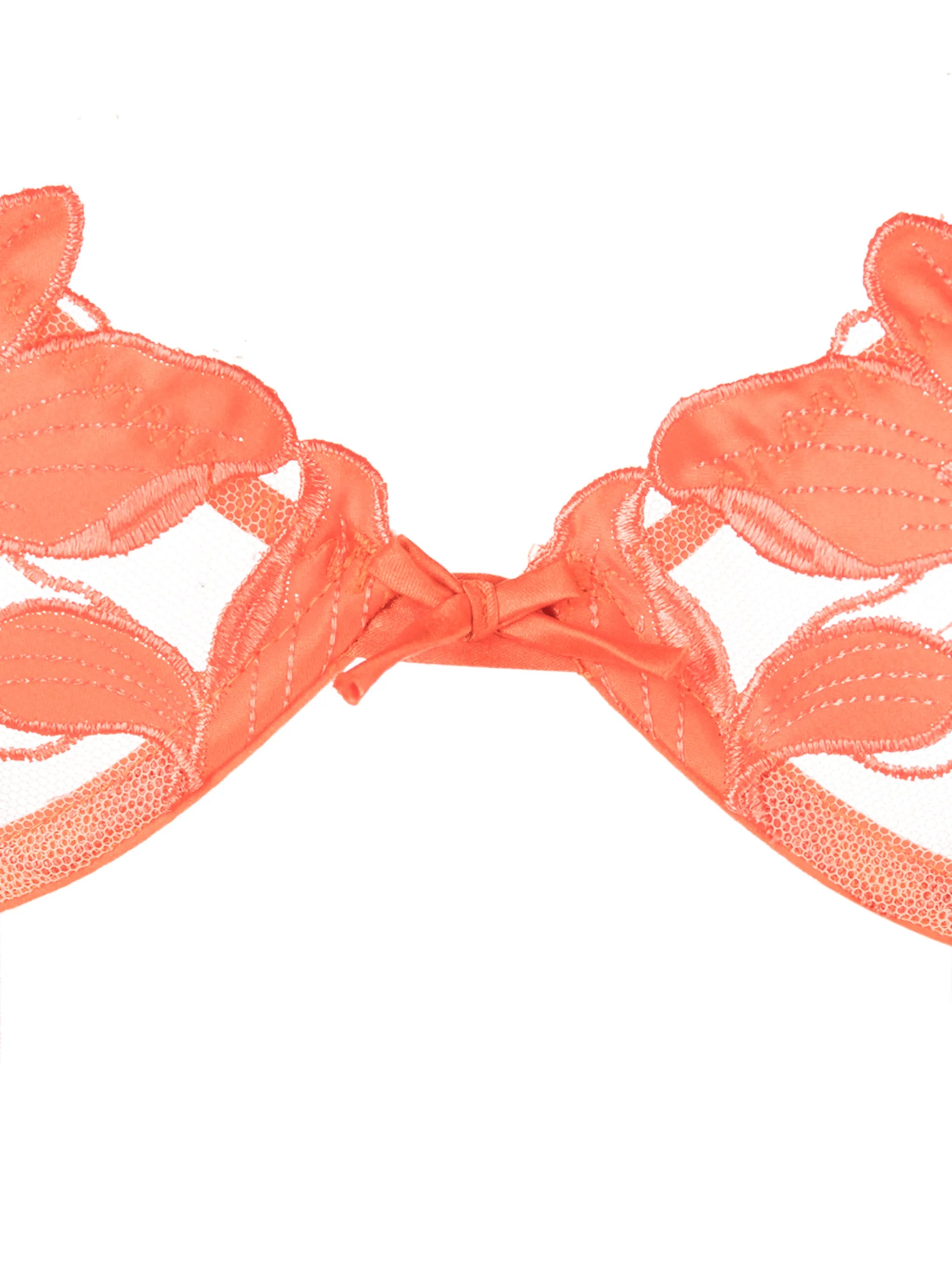 Lily embroidered plunge demi bra