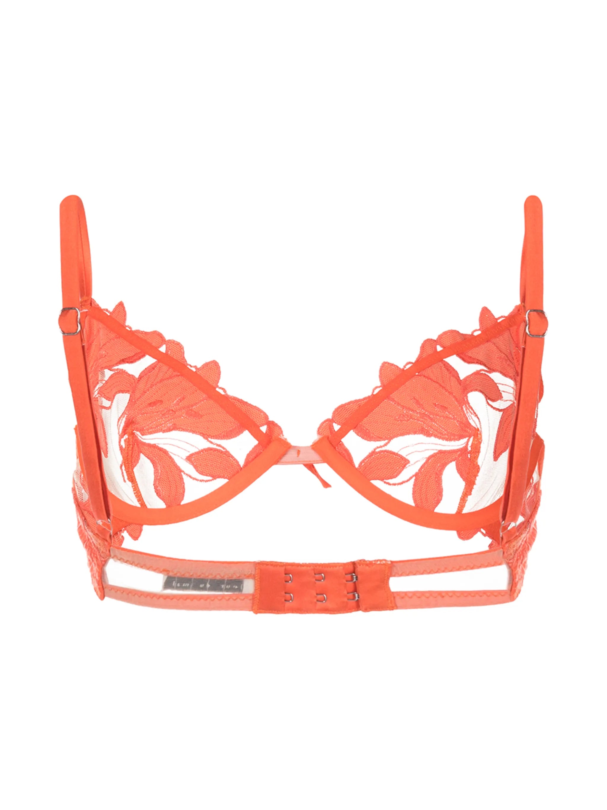 Lily embroidered plunge demi bra