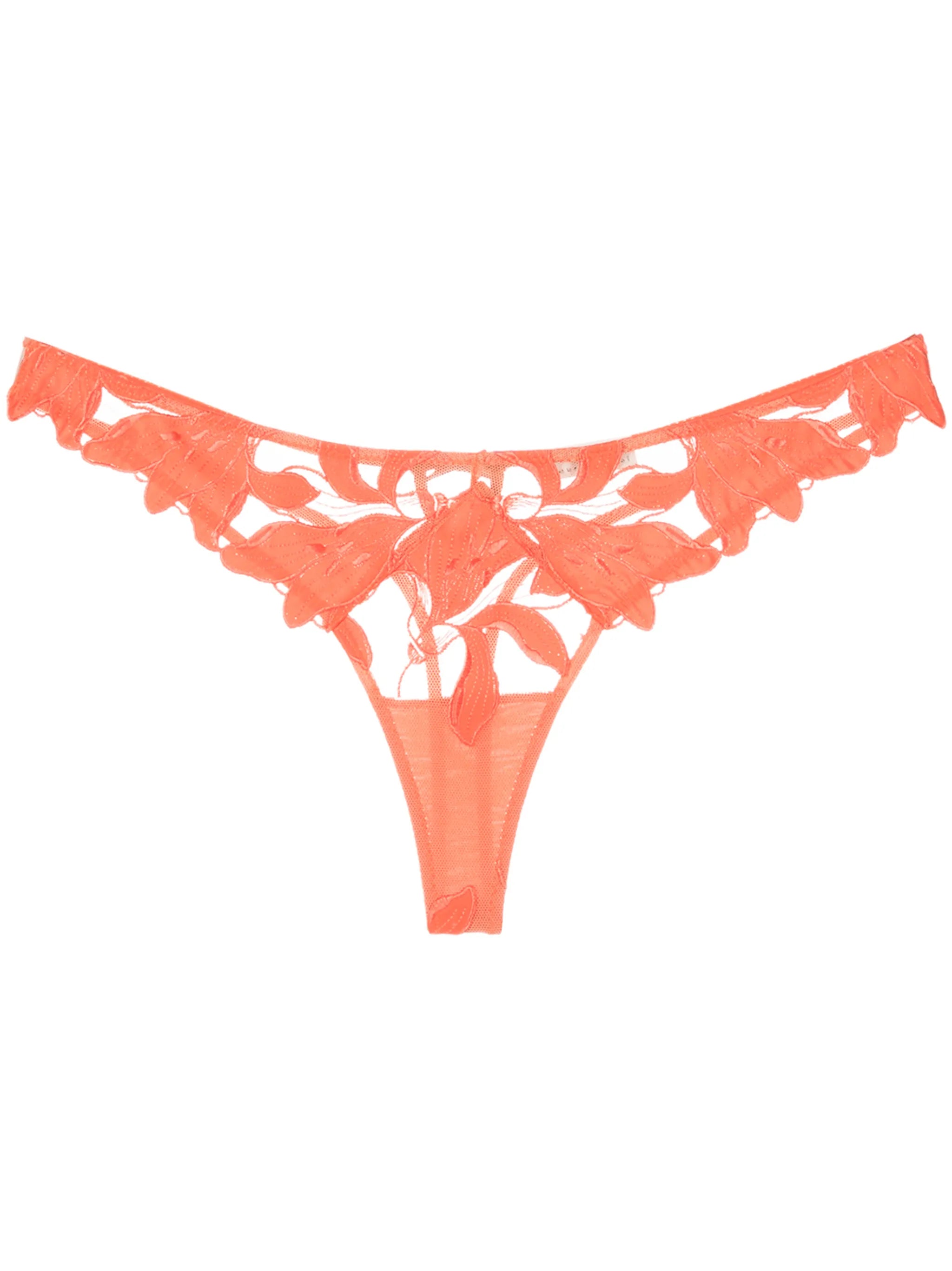 Lily floral-embroidered hipster thong