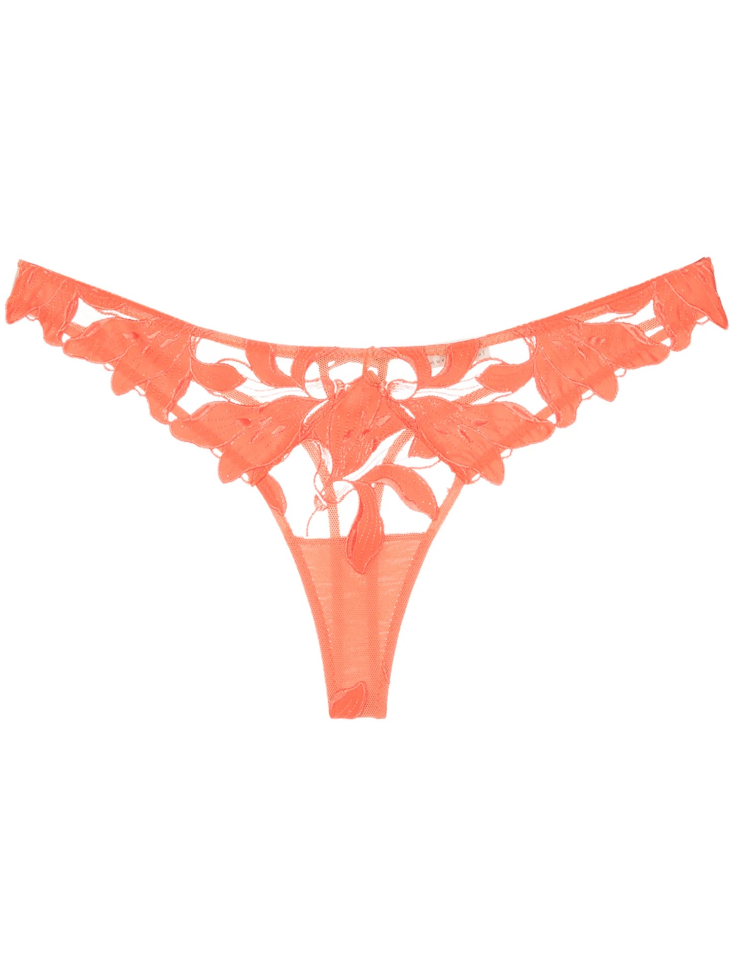 Lily floral-embroidered hipster thong