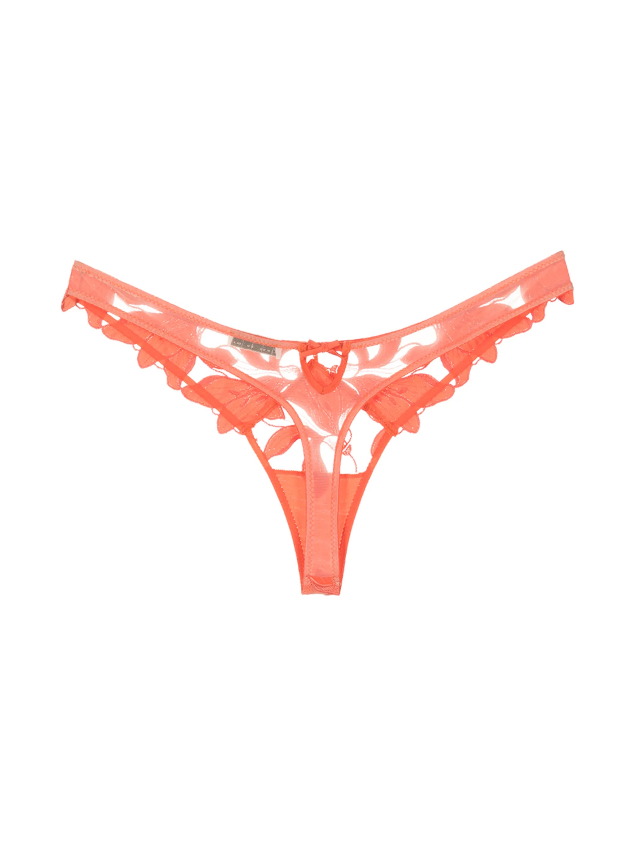 Lily floral-embroidered hipster thong