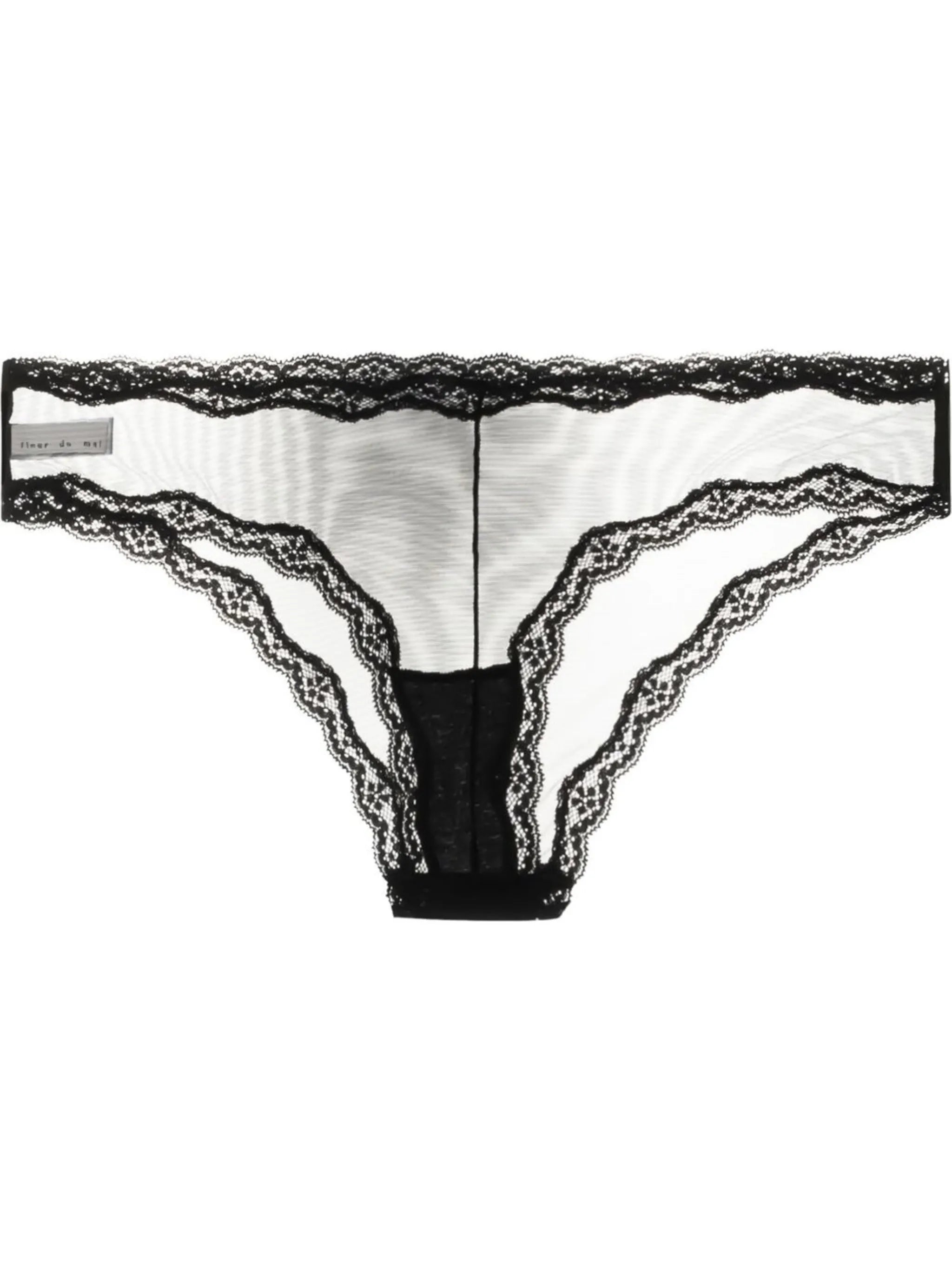 sheer tulle bikini briefs