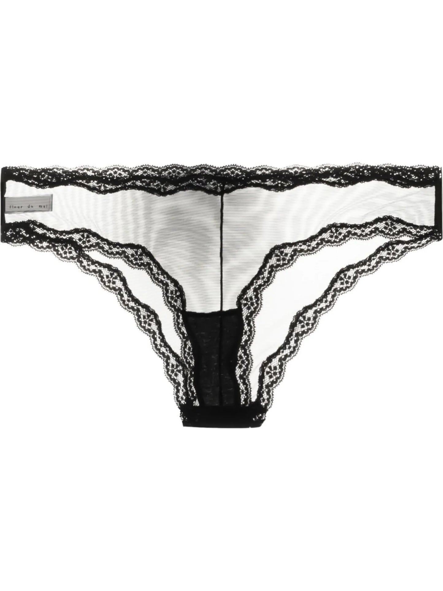 sheer tulle bikini briefs