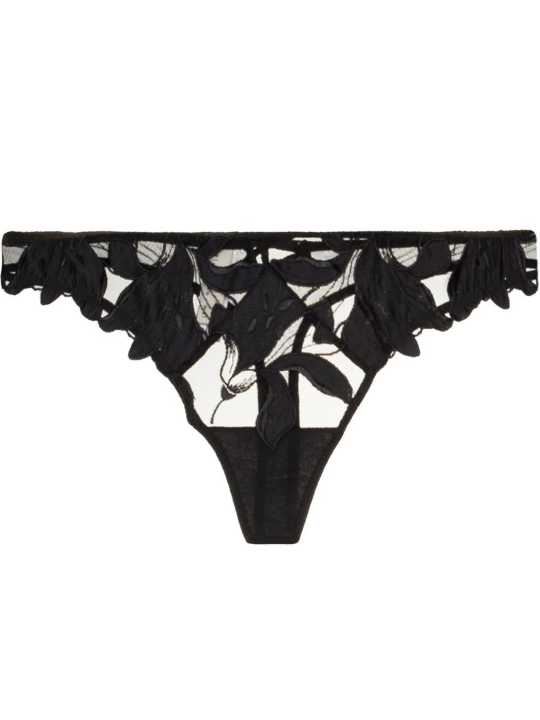 Lily embroidered hipster thong