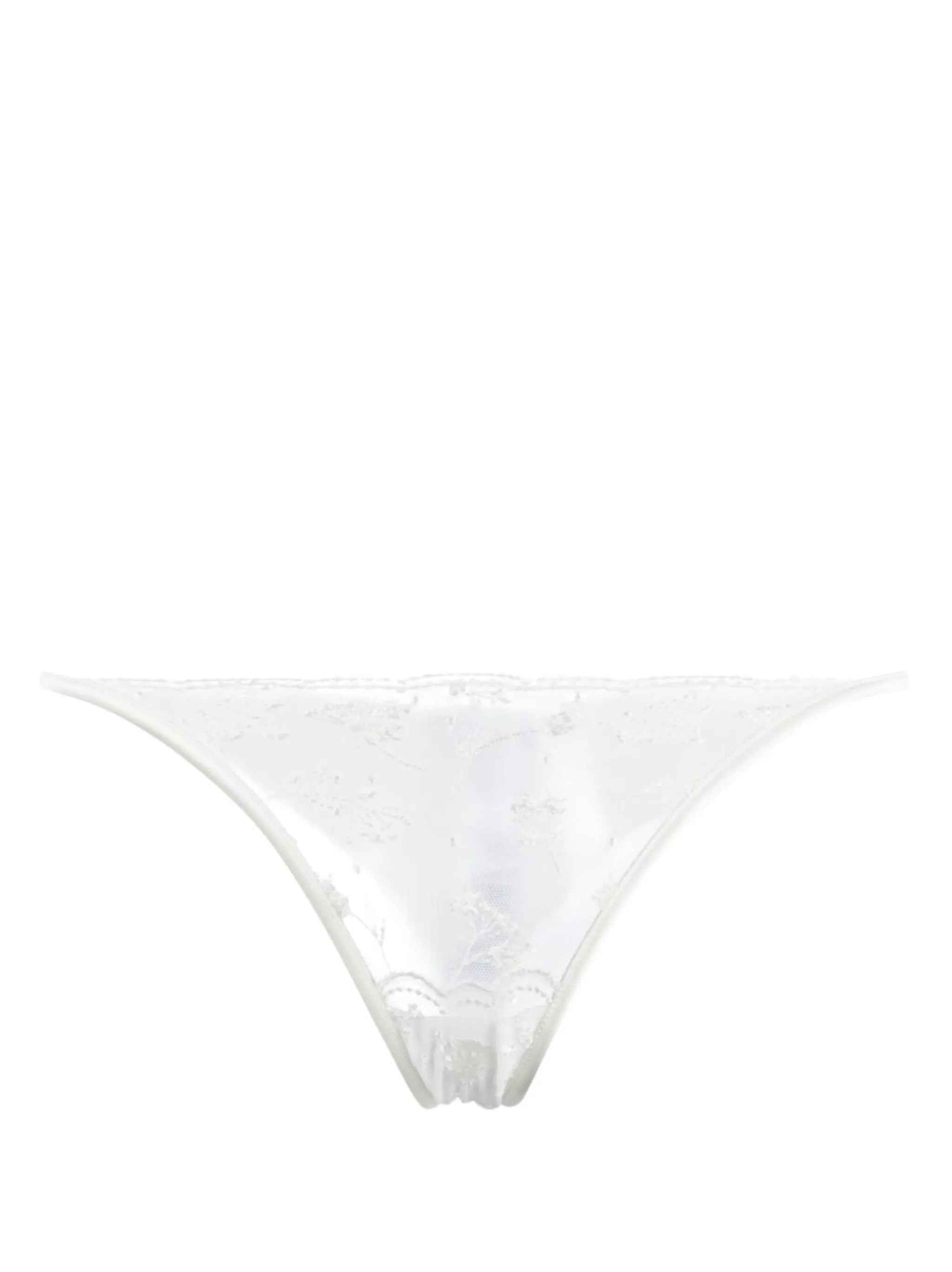 Midnight Botanica sheer briefs